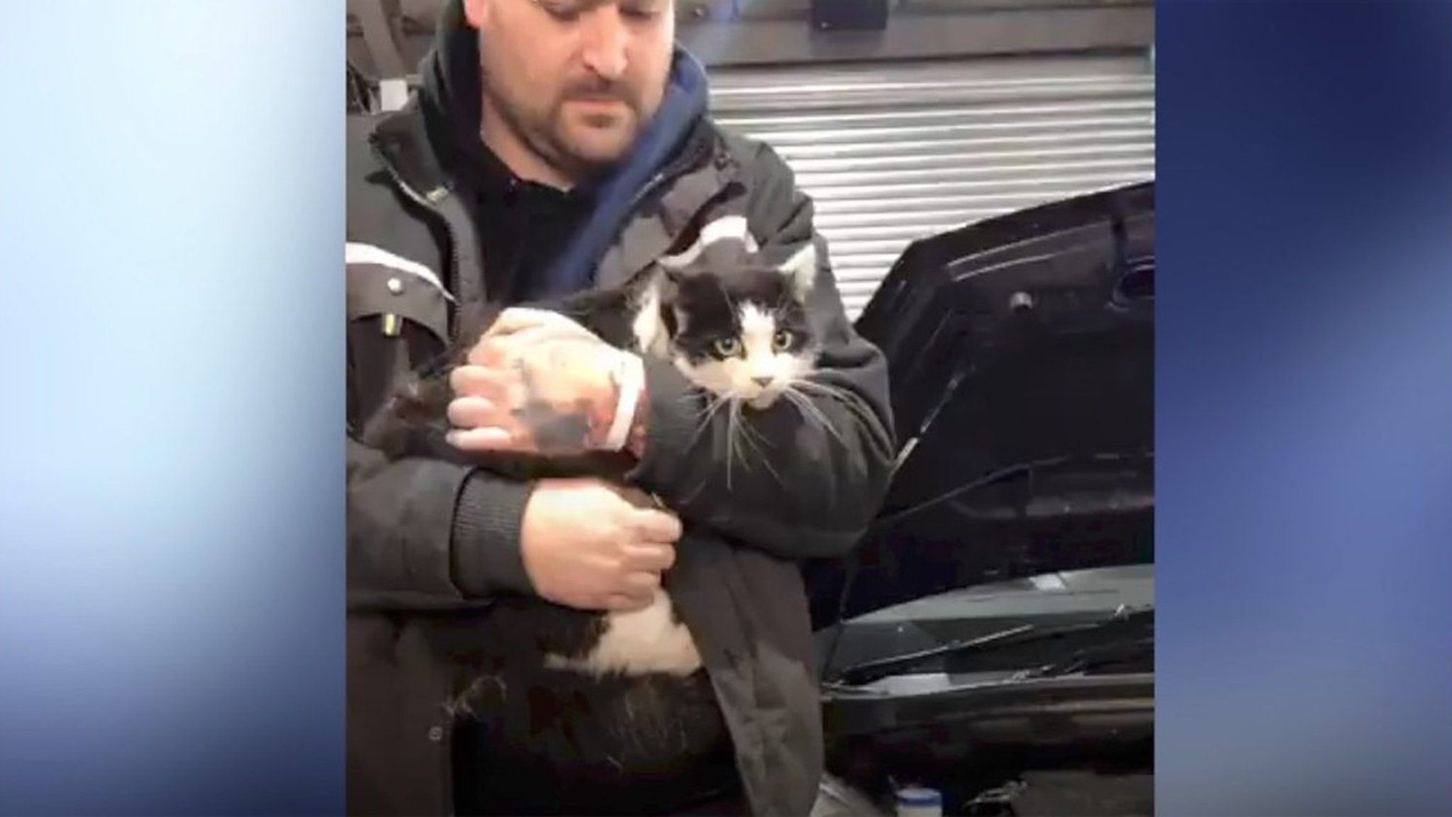 Cat rescued by garage mechanic