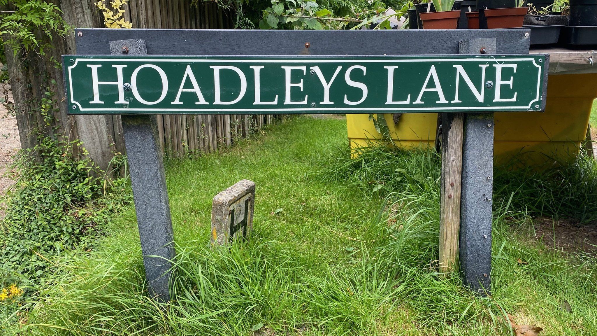 Woman in hospital after Crowborough dog attack BBC News