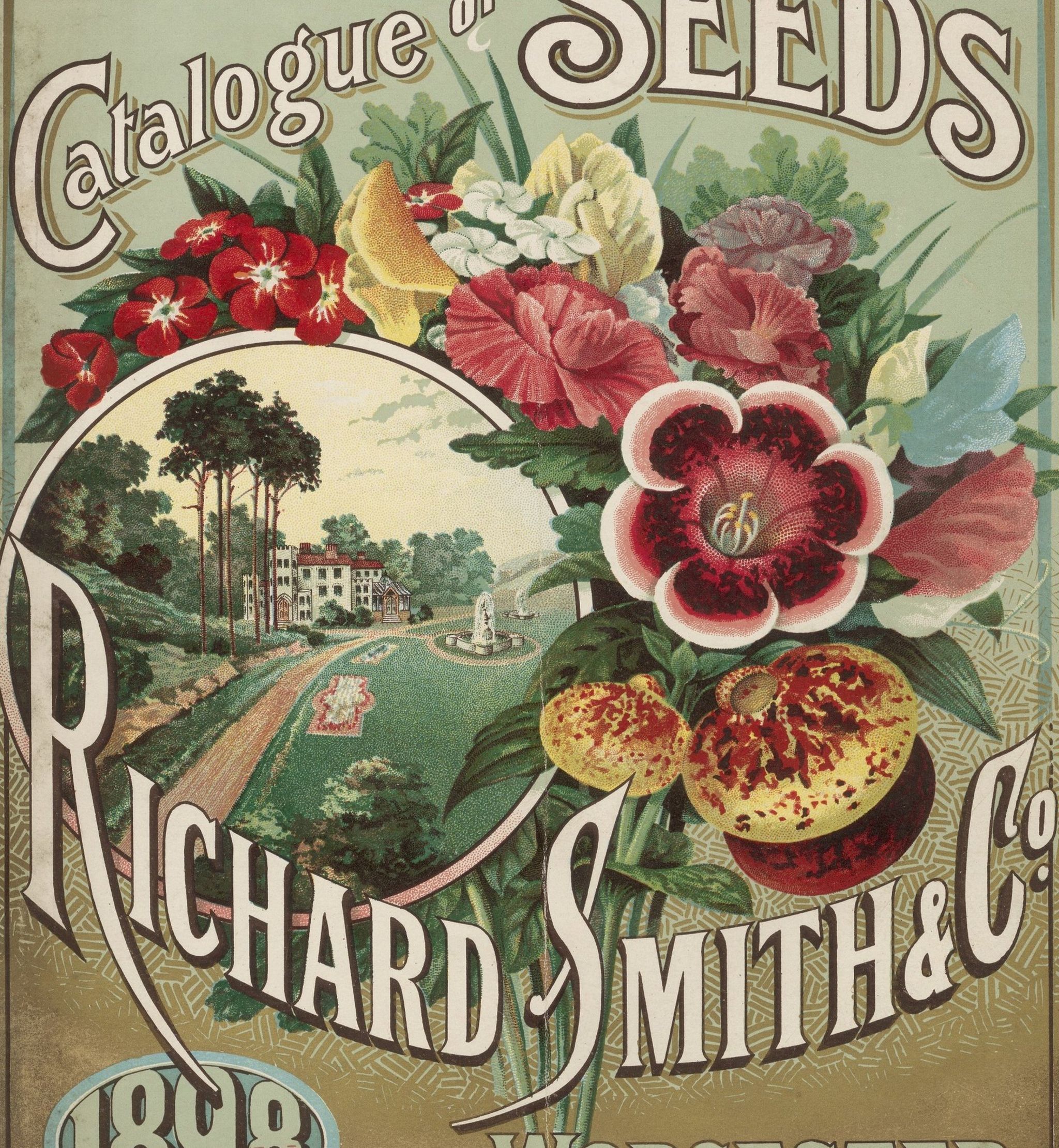 A catalogue of seeds from 1898