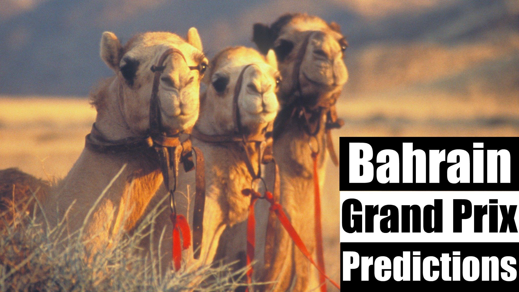 Bahrain Grand Prix predictions