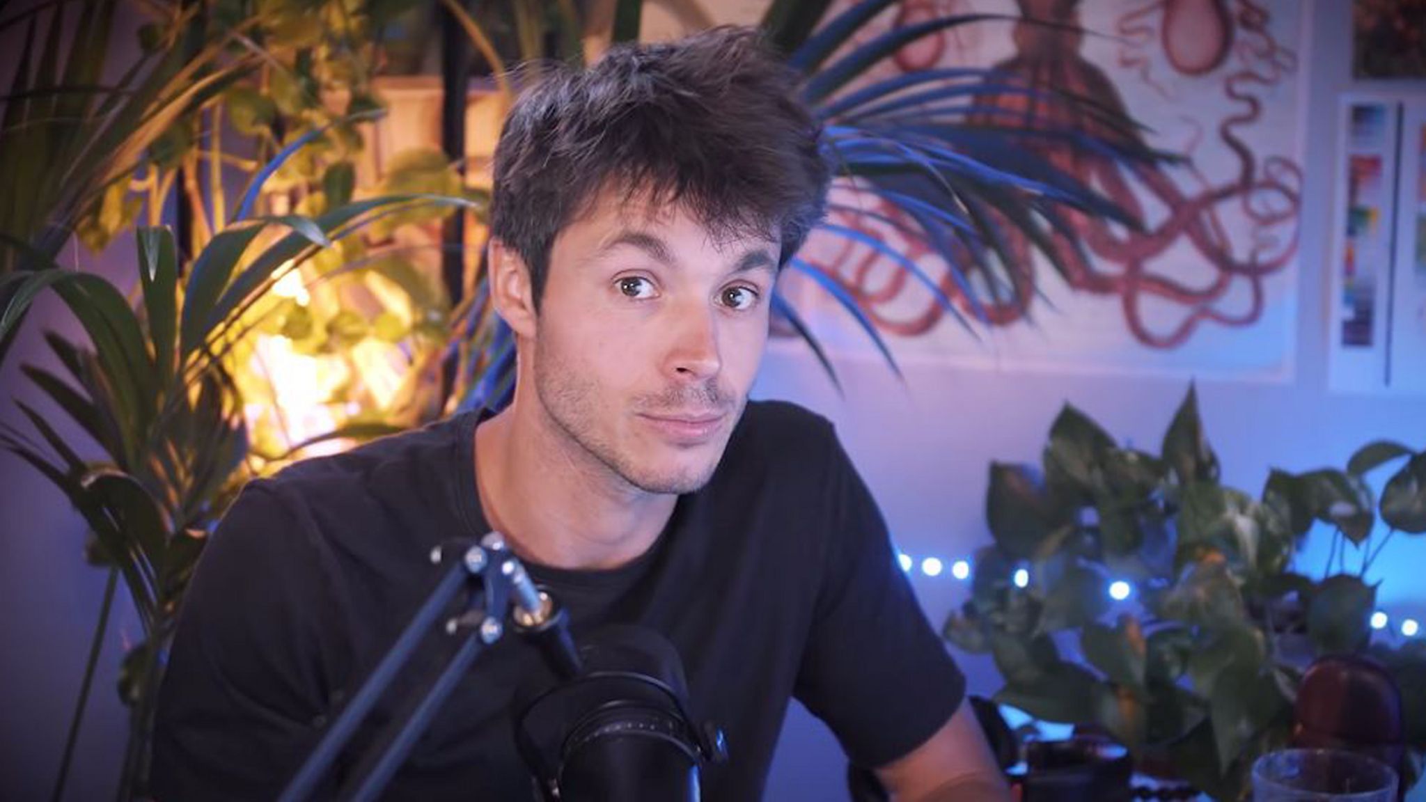 Image of a YouTuber sitting in a dimly lit room with a microphone in front of him and pot plants behind him. He is looking straight at the camera and has his eyebrows raised.