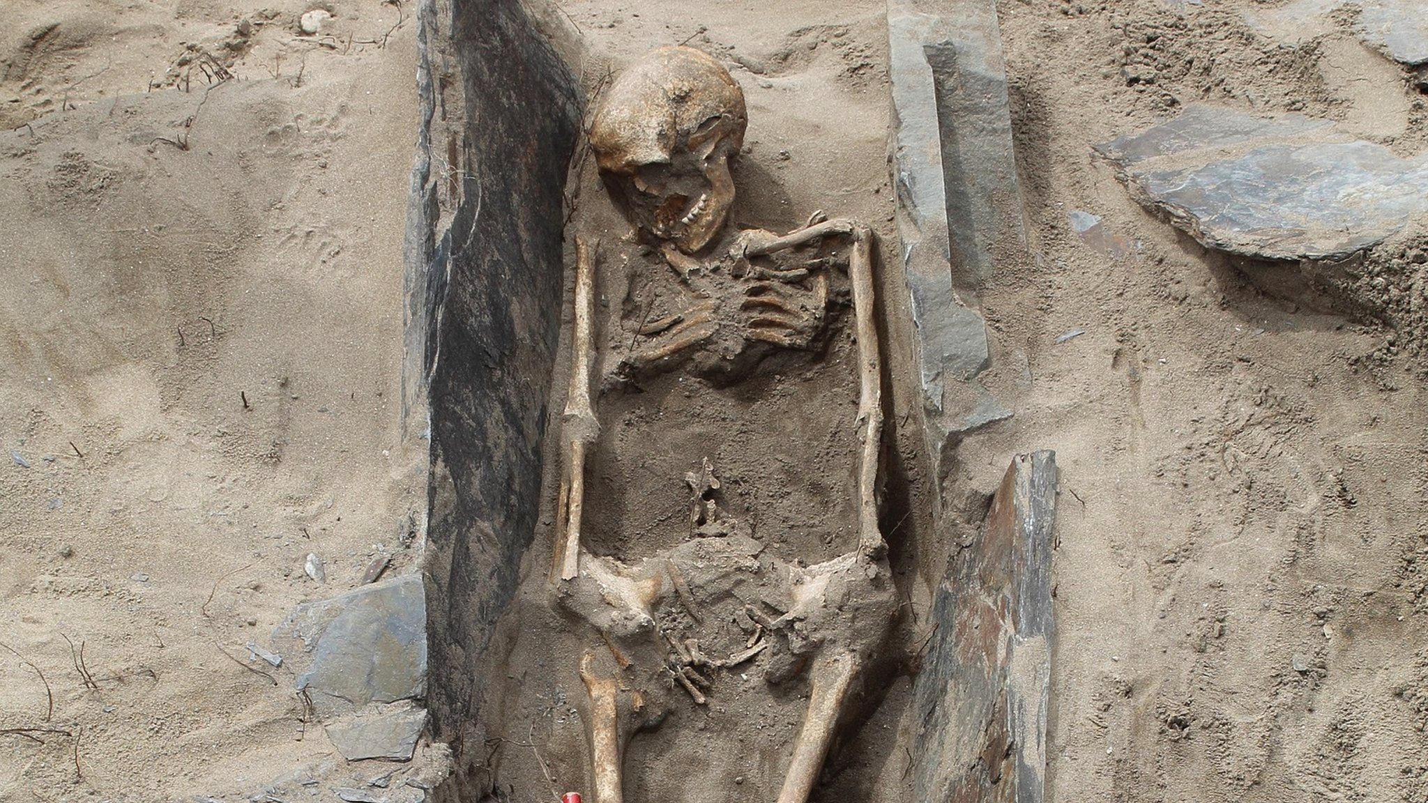 One of the skeletons at Whitseands Bay