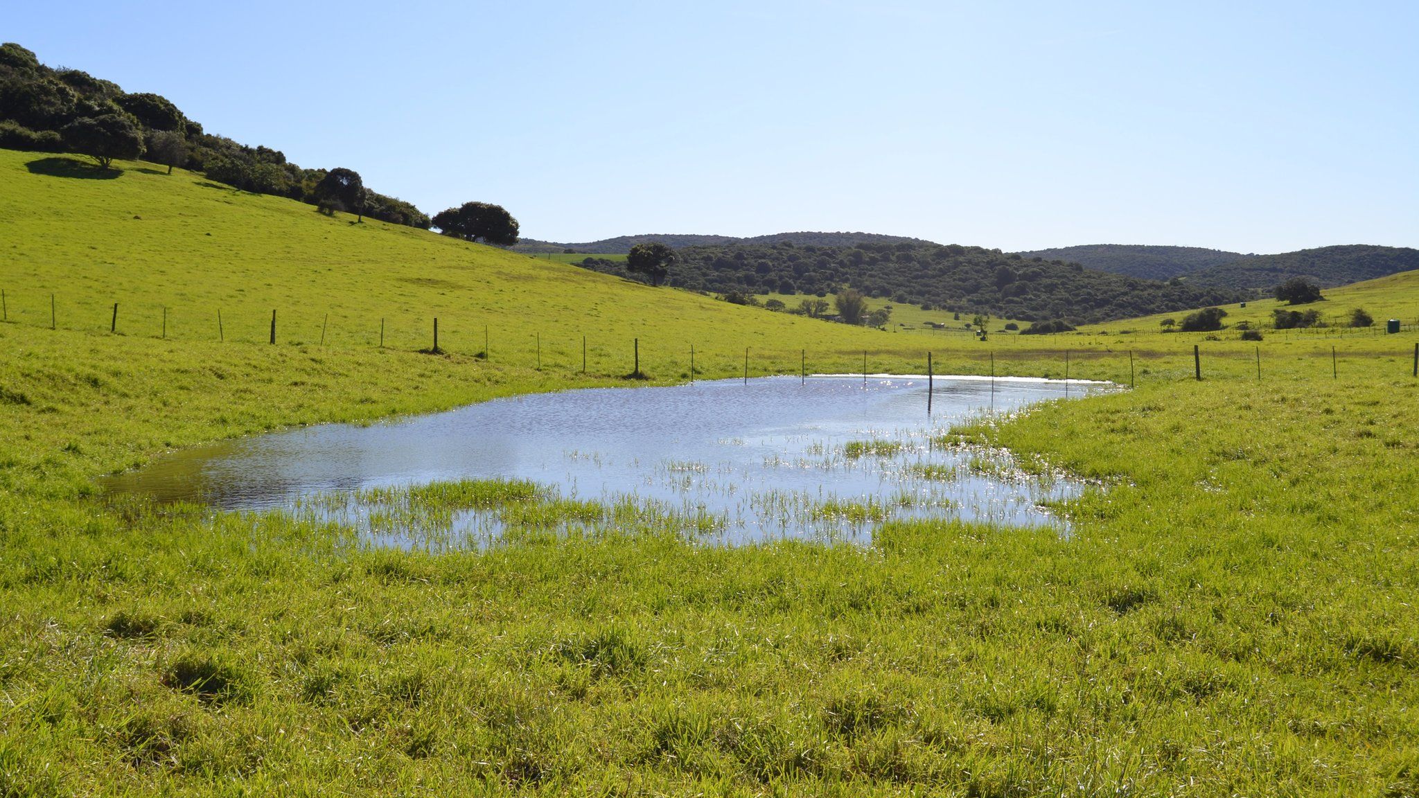 Ephemeral wetland (Image: Tatenda Dalu)