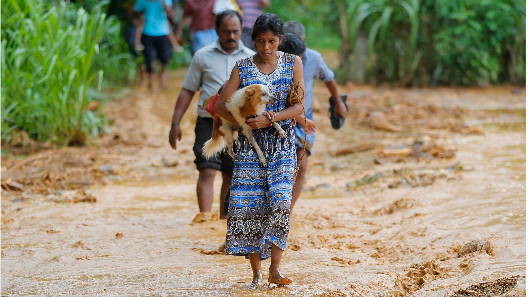 A woman crosses flooded land, carrying a dog