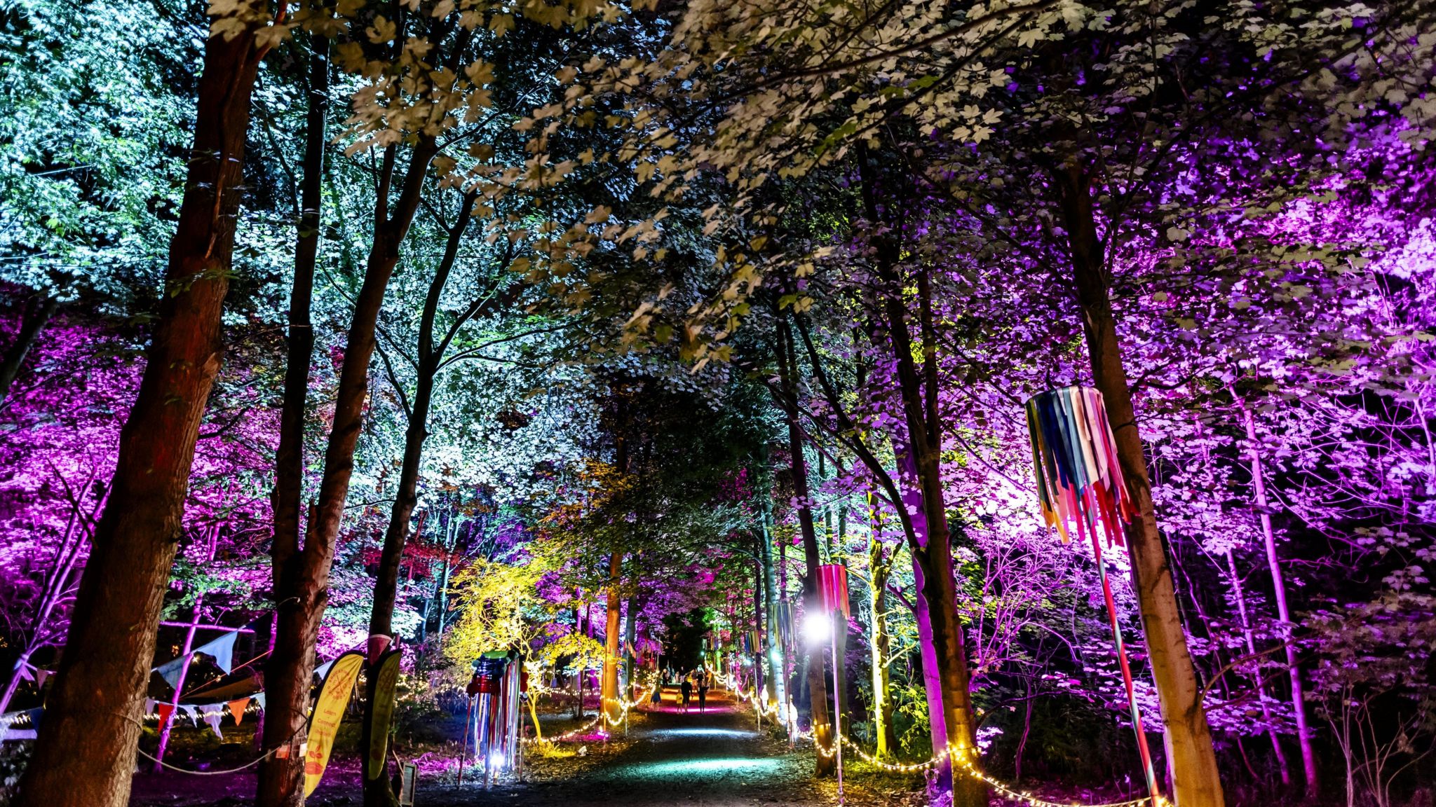 A path stretches down the middle of the photo. Either side of it, are yellow string lights. Either side of the lights are tall trees, which are lit up by colourful lights of pink, yellow and blue.