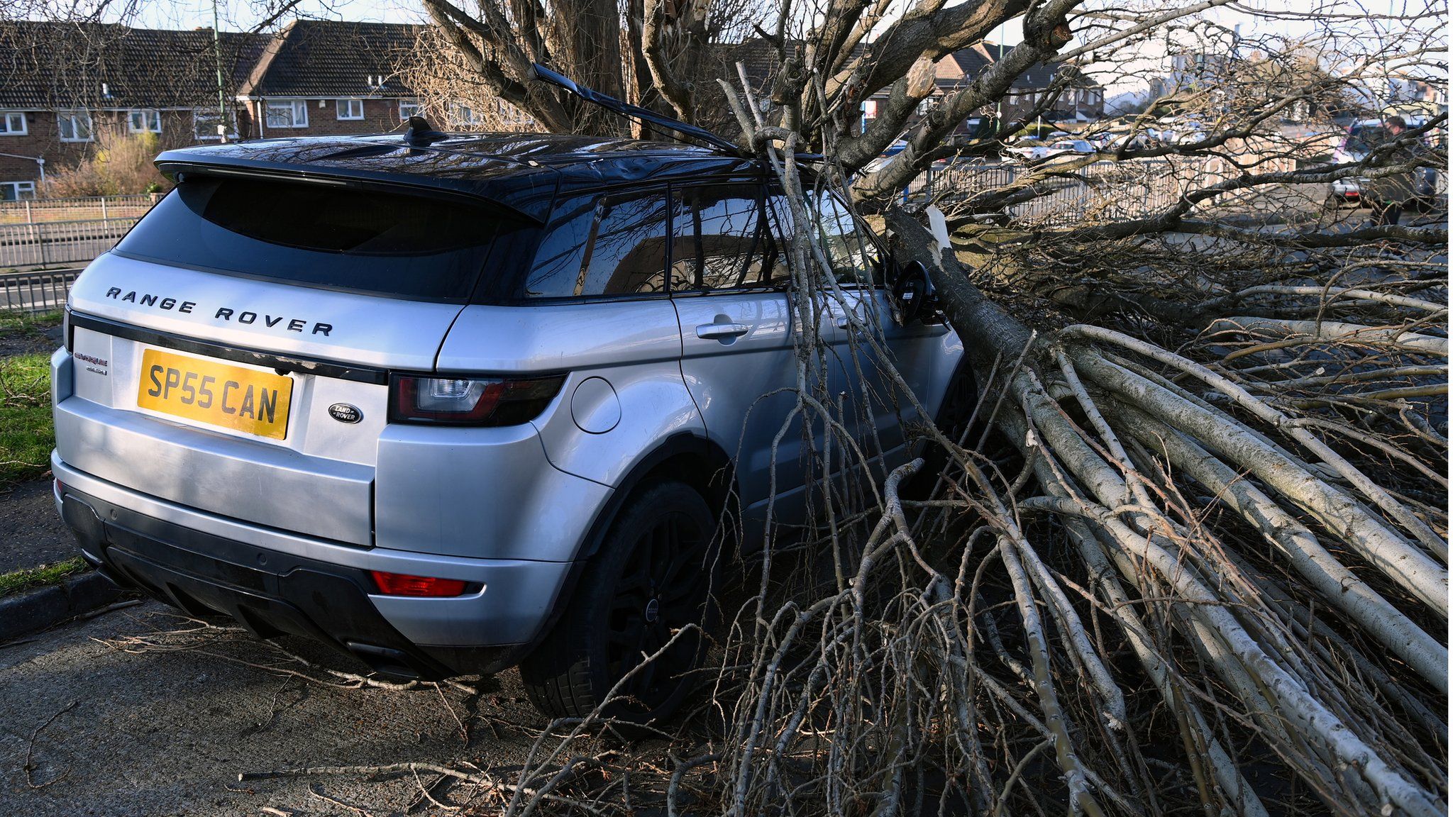 Car hit by tree in Storm Eunice