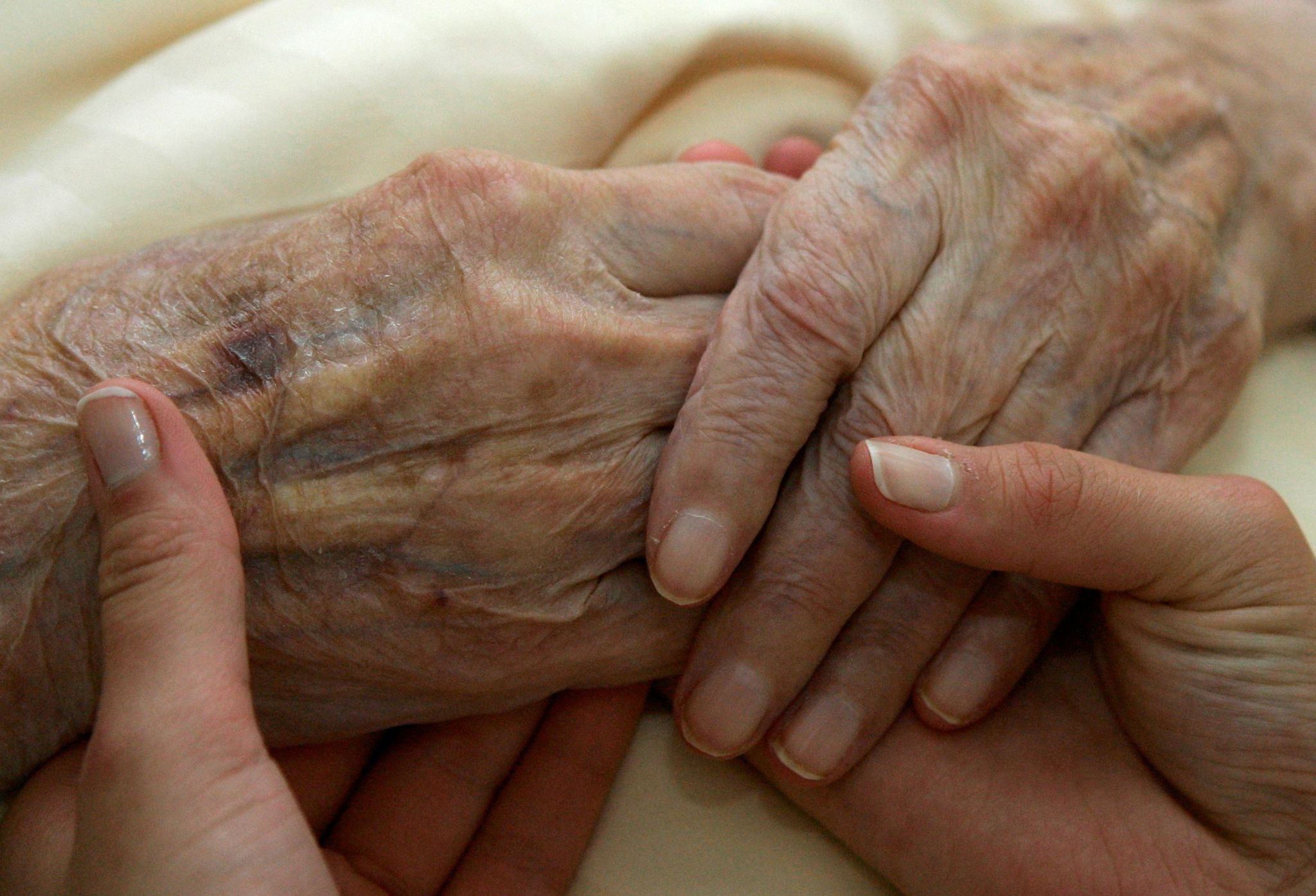 A close up images of a young person holding the hands of an elderly person.