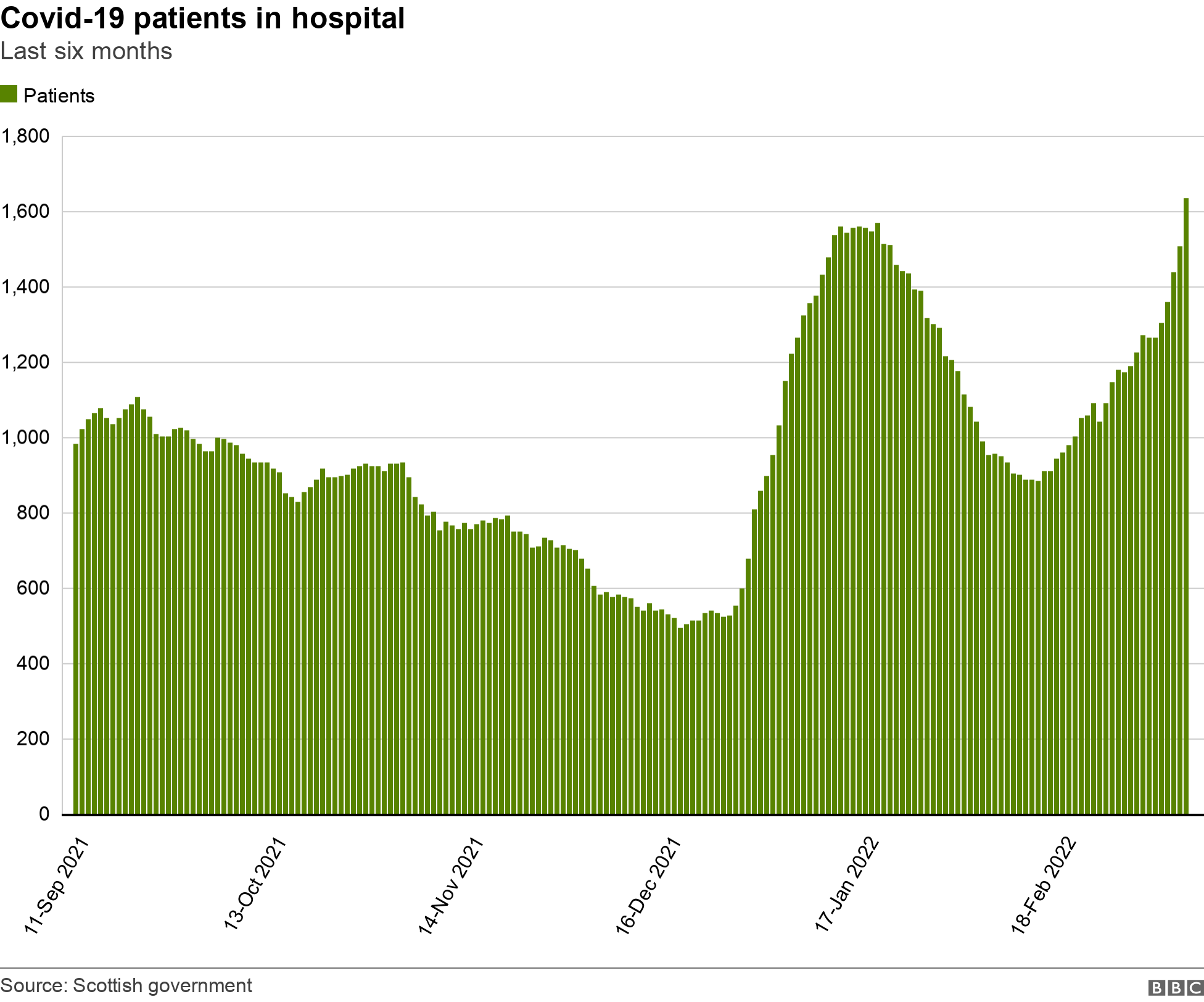 hospital numbers