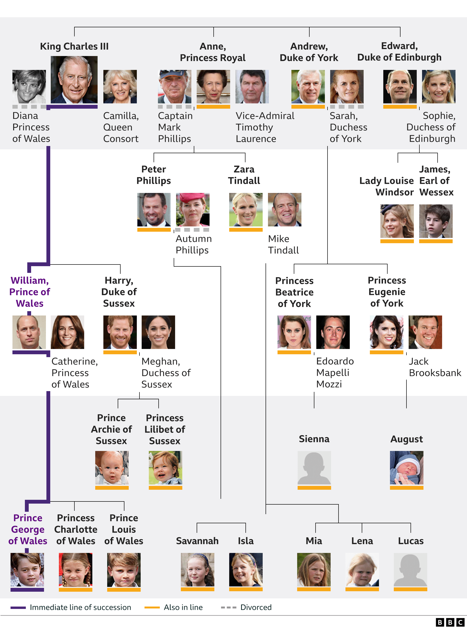 A family tree graphic showing Queen Elizabeth II’s children Charles, Anne, Andrew and Edward and their families. It also shows the line of succession from King Charles III to his son William and grandson George