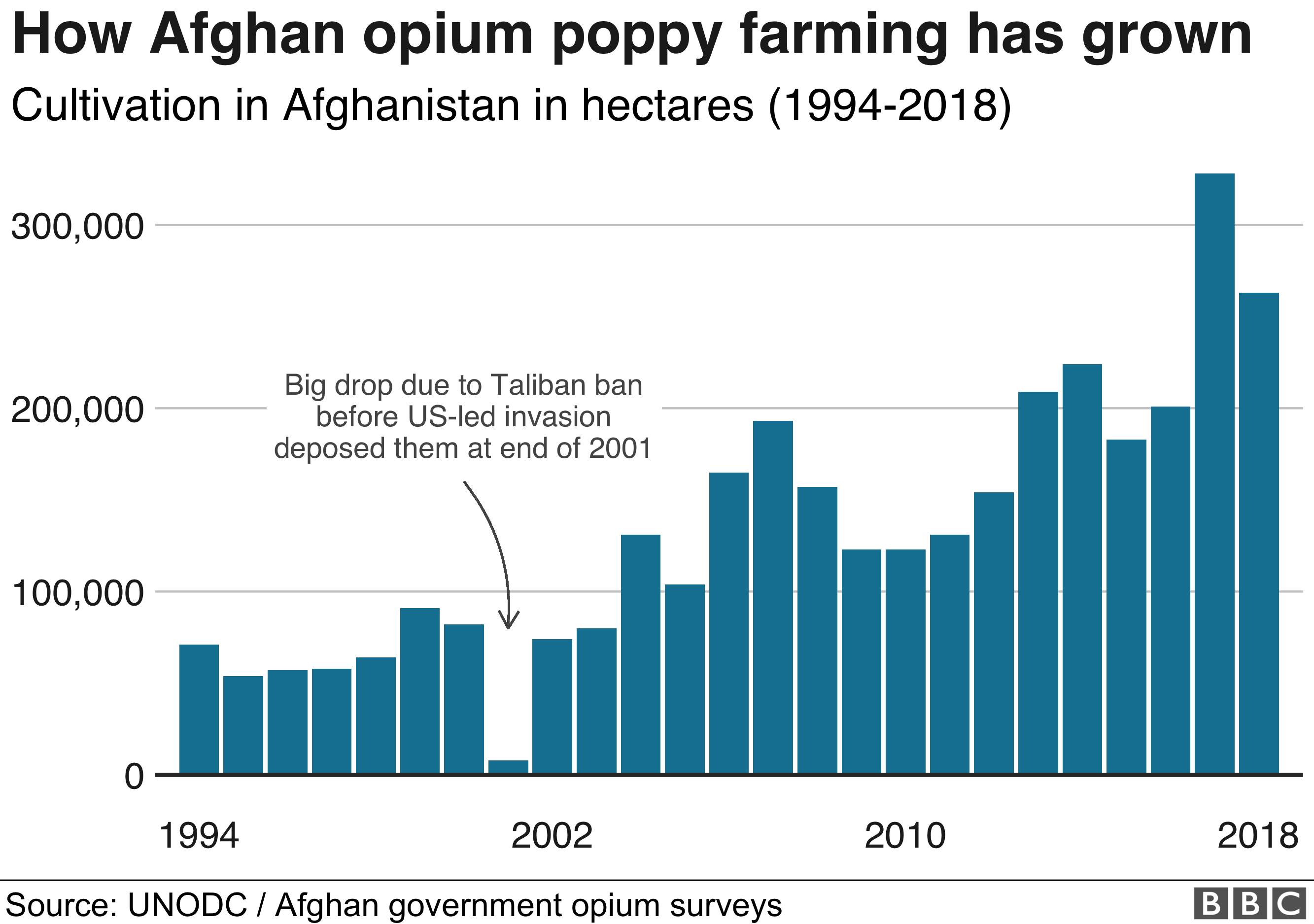 How Afghan poppy farming has grown
