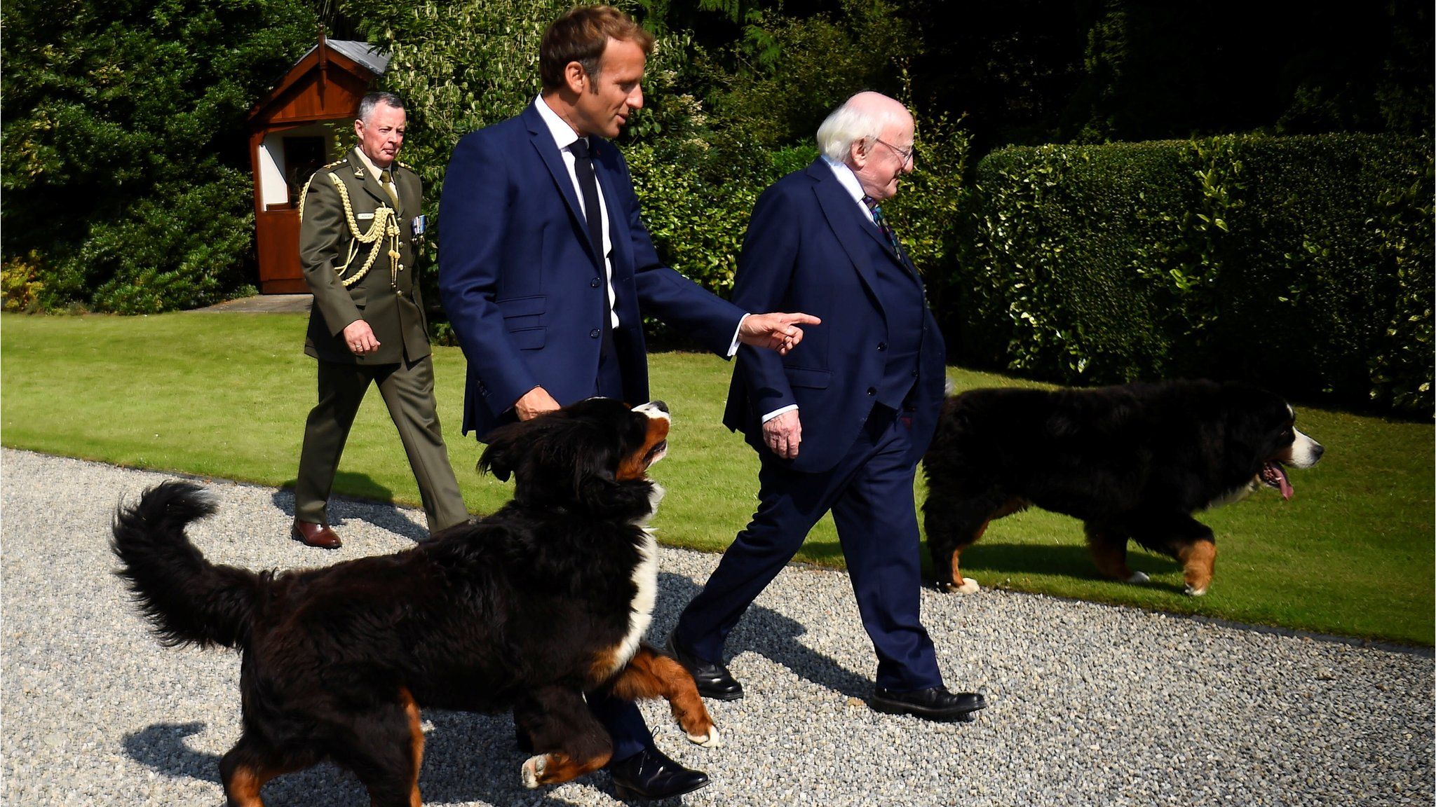 Michael D Higgins and Emmanuel Macron walk with Mr Higgins' two dogs