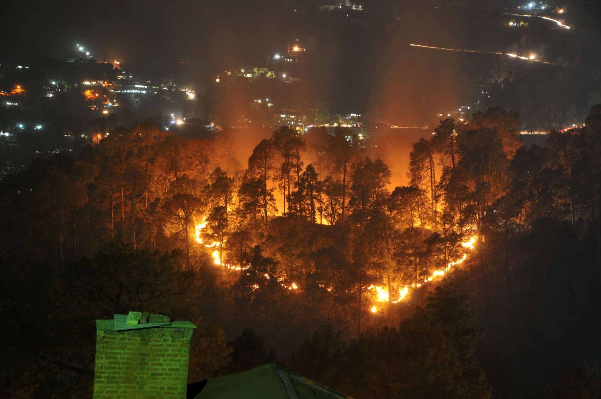Burning forest in Uttarakhand