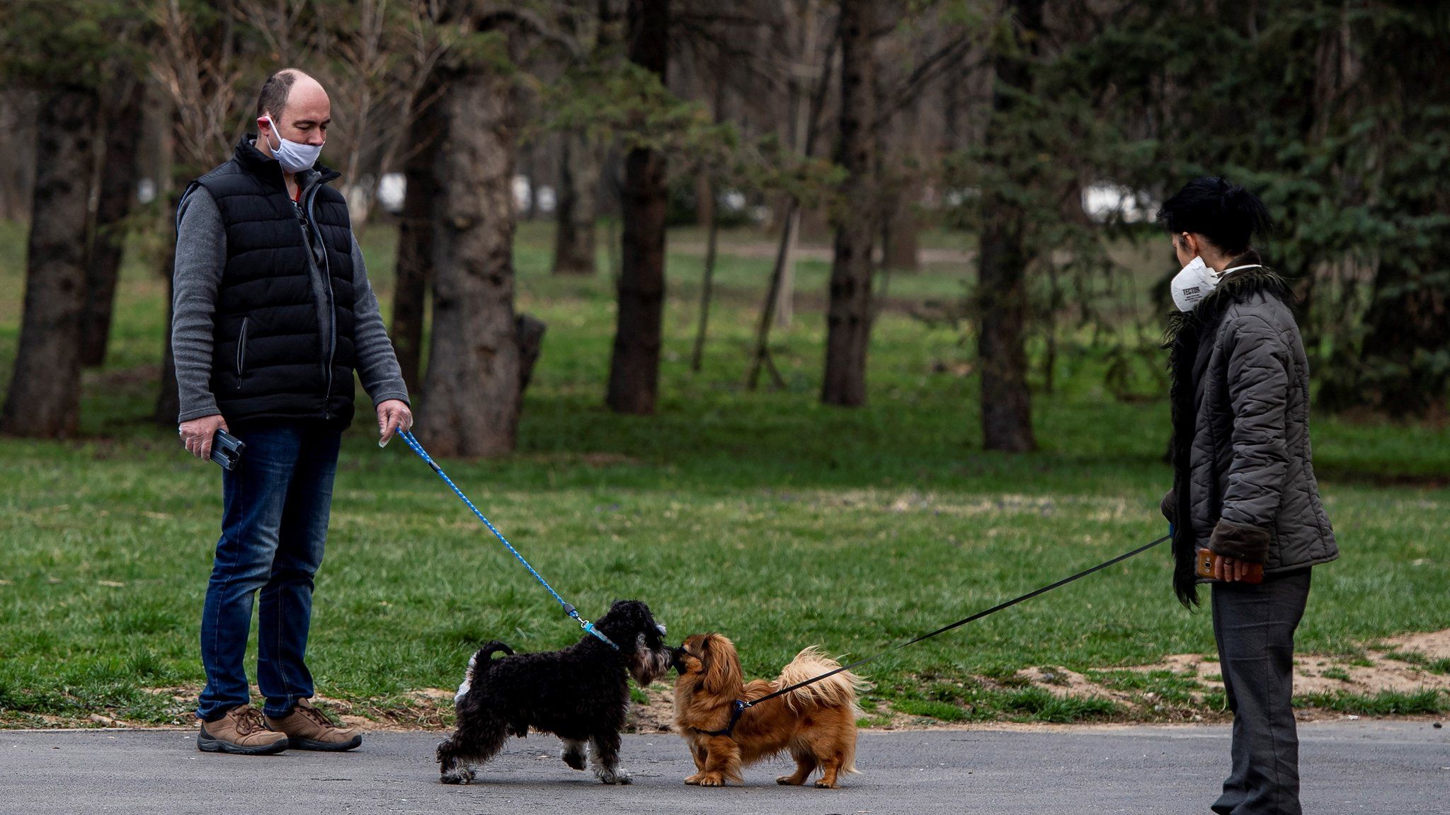 People walk their dogs in an empty park in Sofia, Bulgaria on 22 March 2020