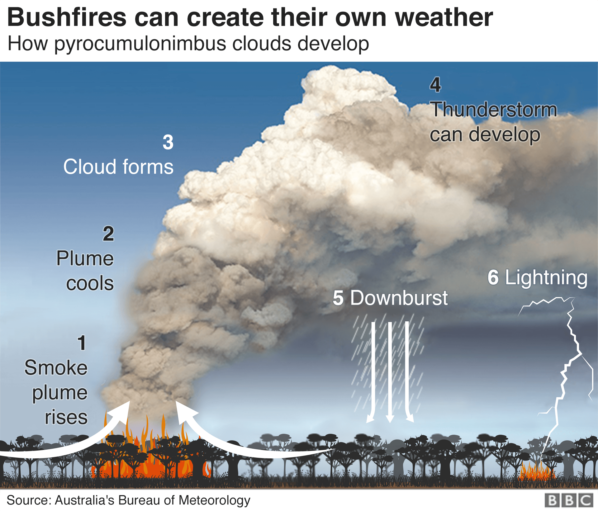 Australia fires: A visual guide to the bushfire crisis - BBC News