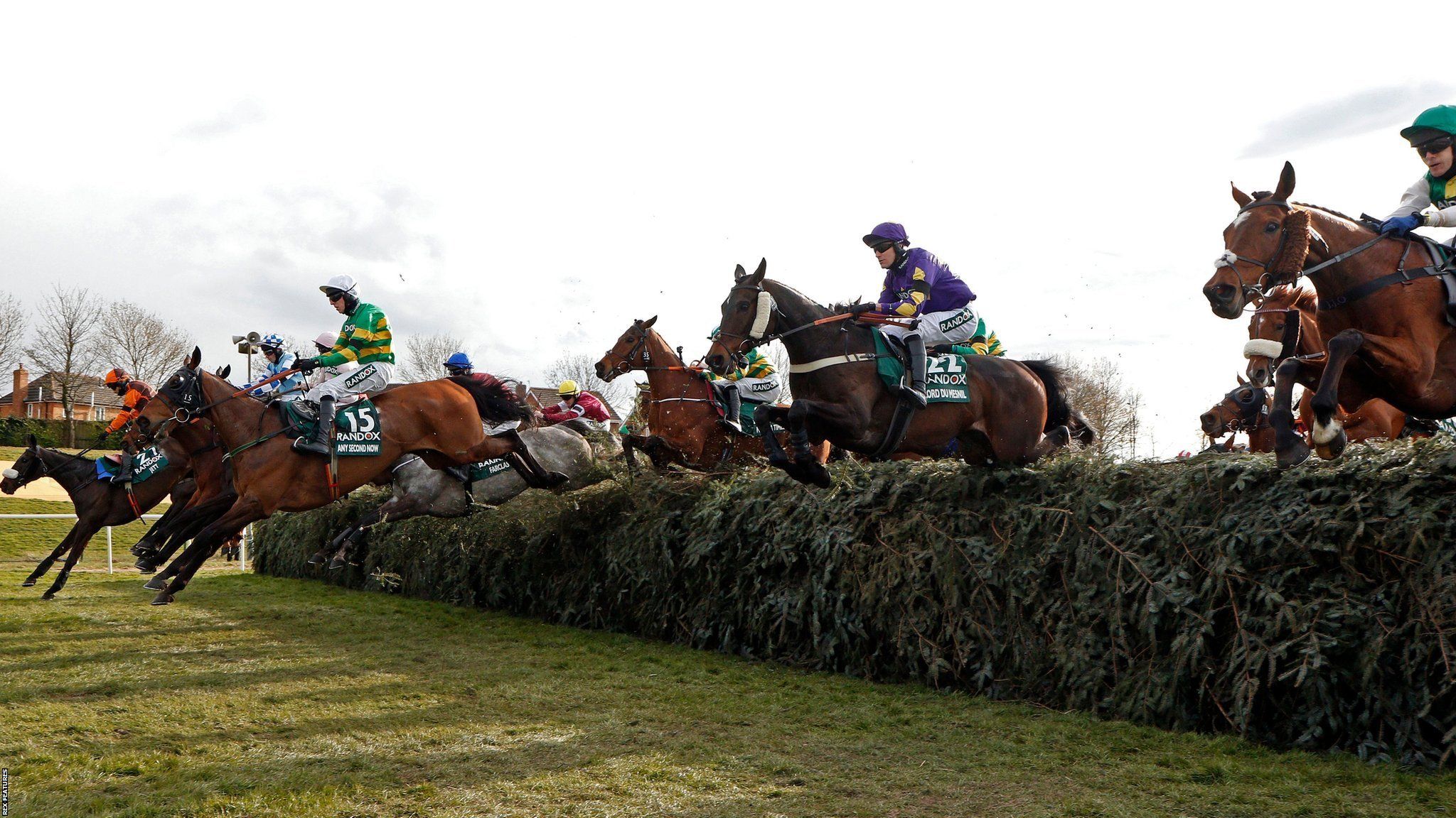 Runners in the Grand National