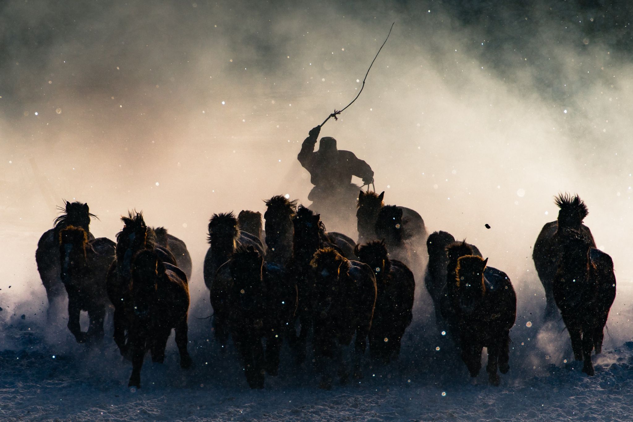 A horseman cracks a whip in Inner Mongolia
