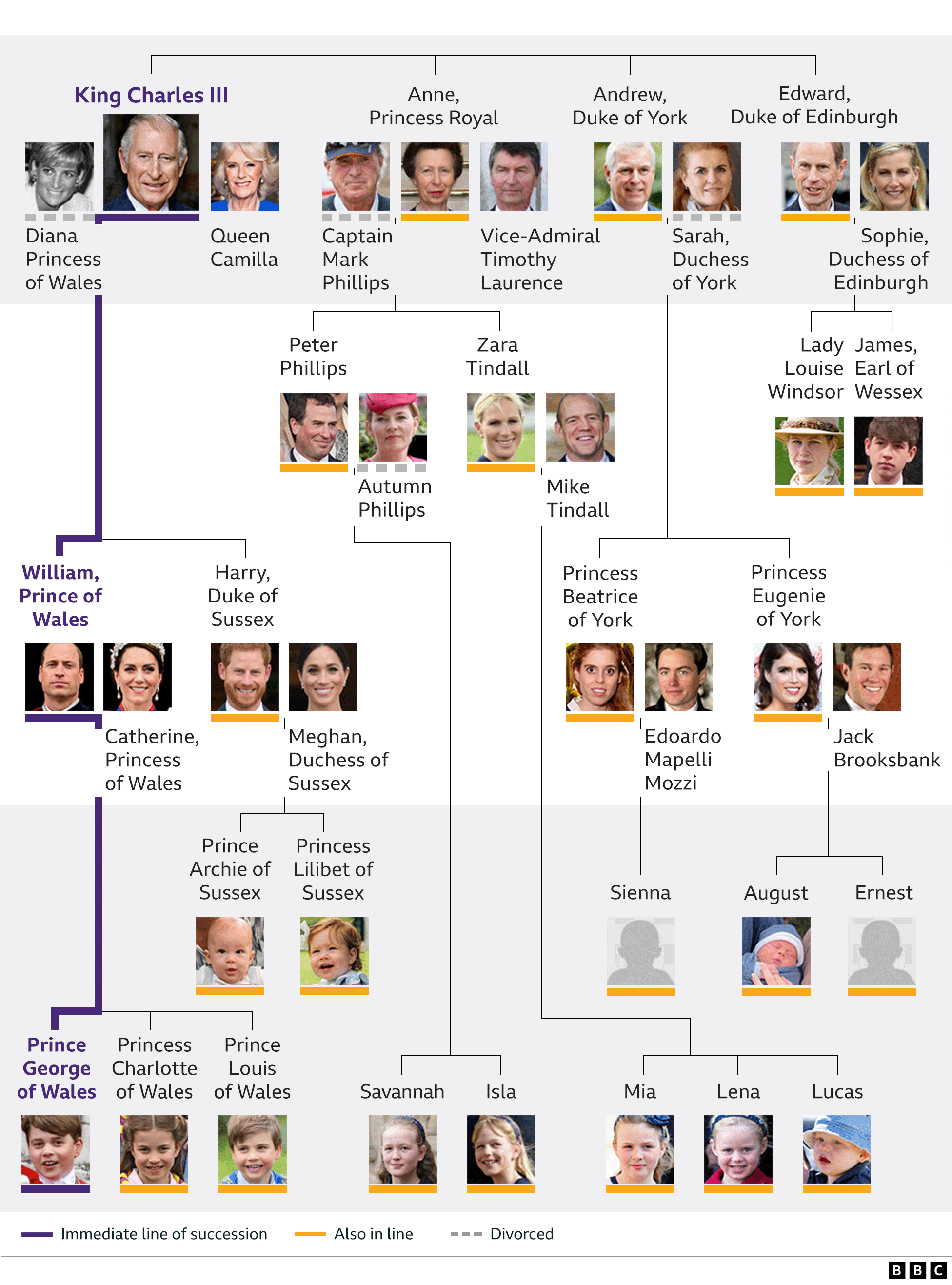 A family tree graphic showing Queen Elizabeth II’s children Charles, Anne, Andrew and Edward and their families. It also shows the line of succession from King Charles III to his son William and grandson George (June 2023)