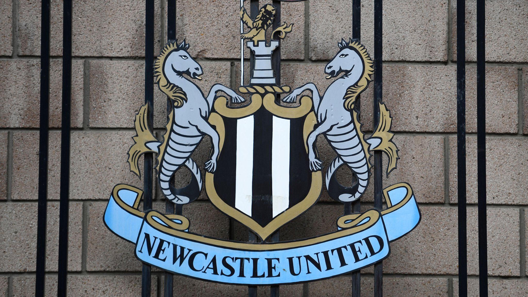 Newcastle United: Man arrested over alleged racist gesture - BBC News