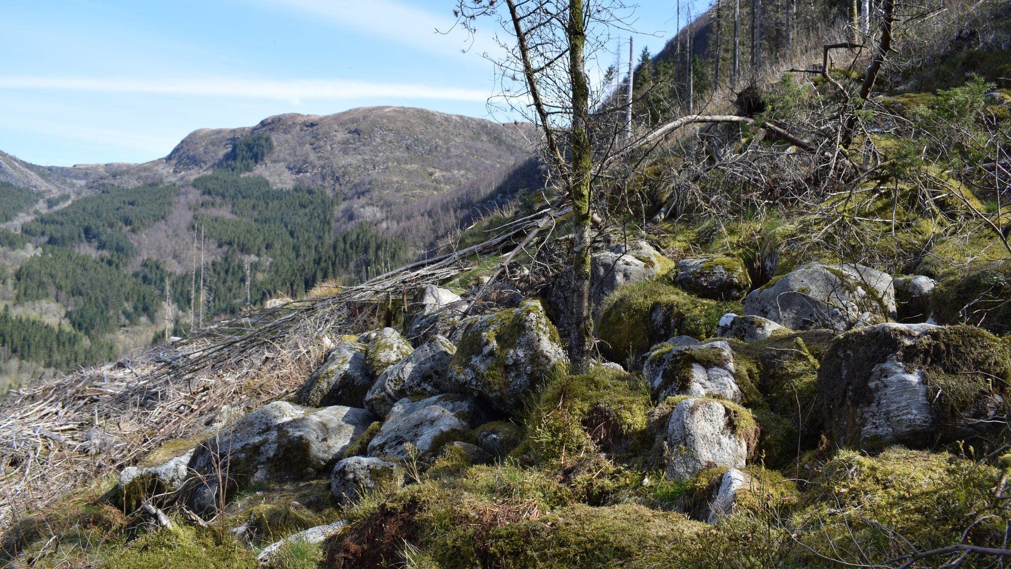 A view of some rocks on the Isdalen Valley, where the Isdal Woman was thought to have been found in 1970