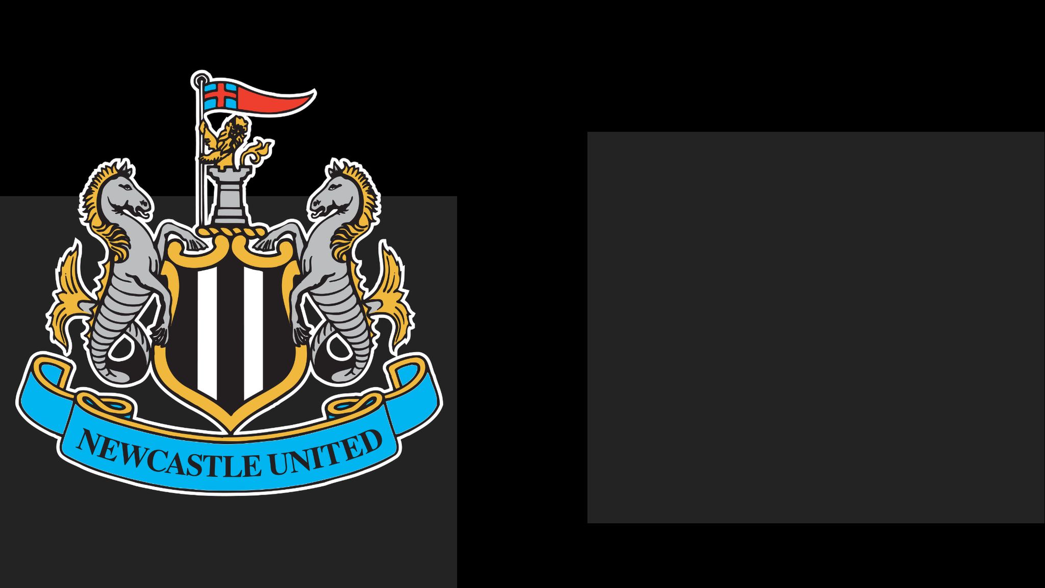 Newcastle United club badge