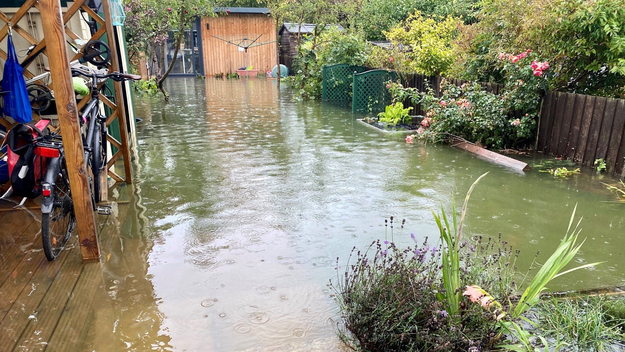 Flooded garden in east Oxford