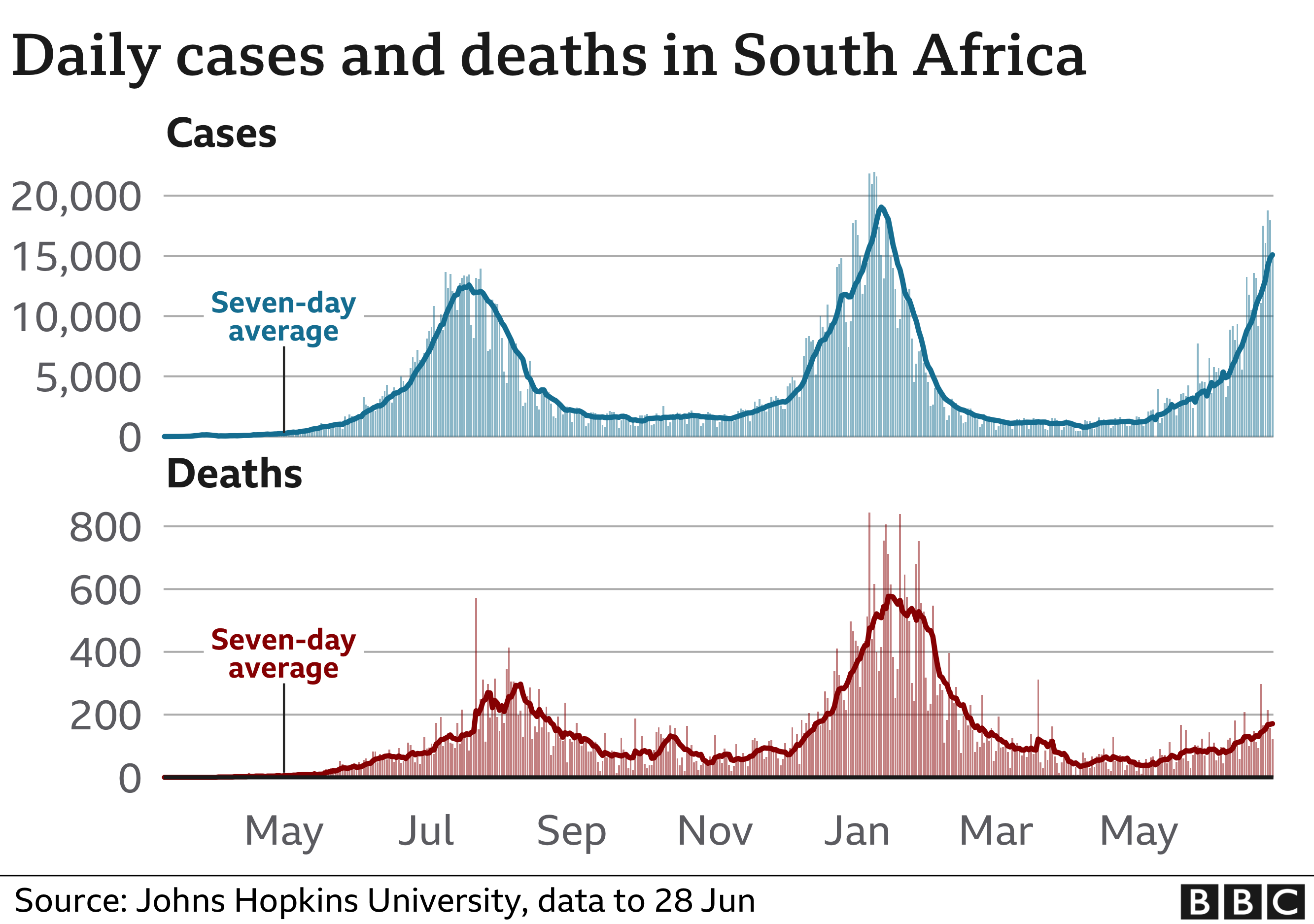 A chart showing the number of coronavirus deaths and cases in South Africa over 12 months