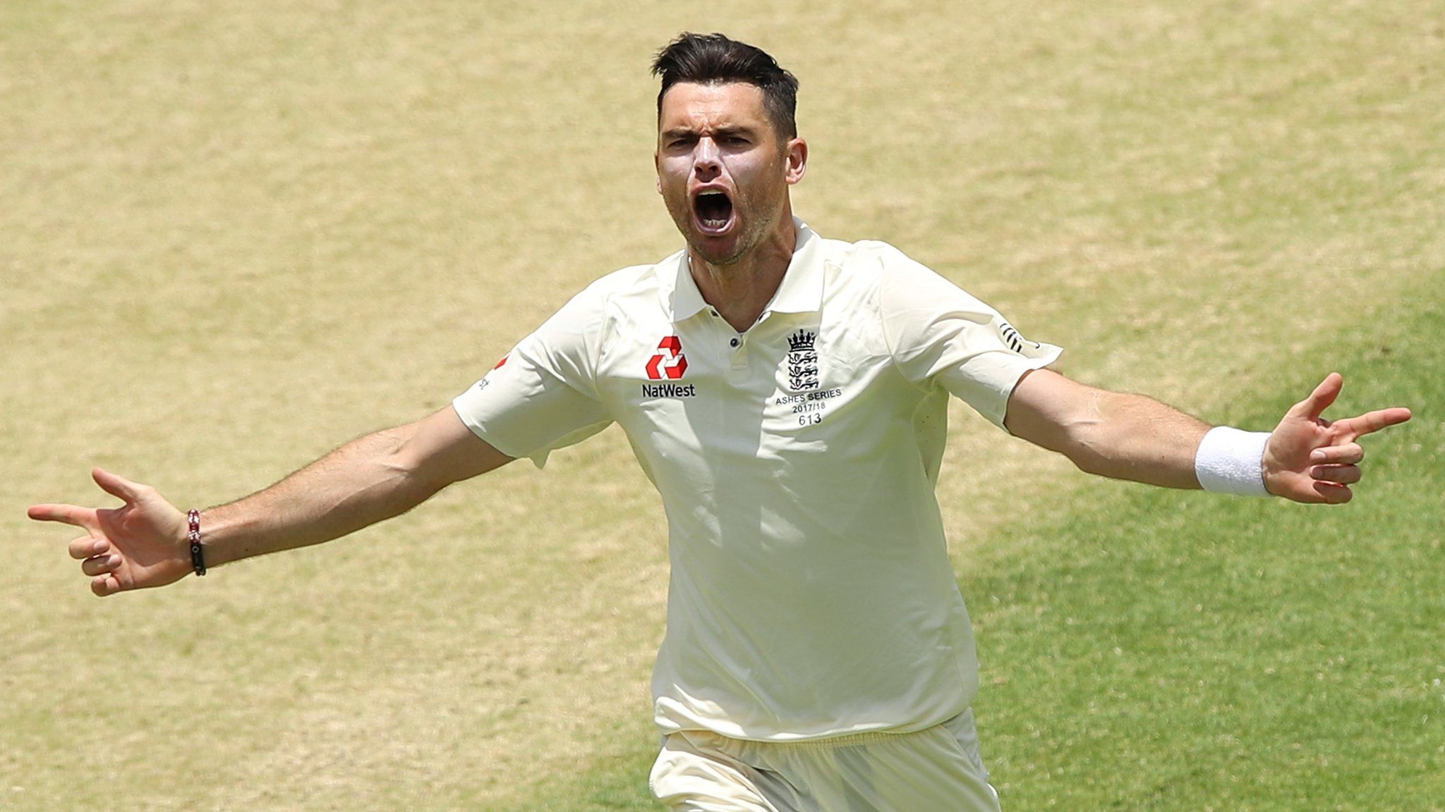 England's James Anderson celebrates a wicket