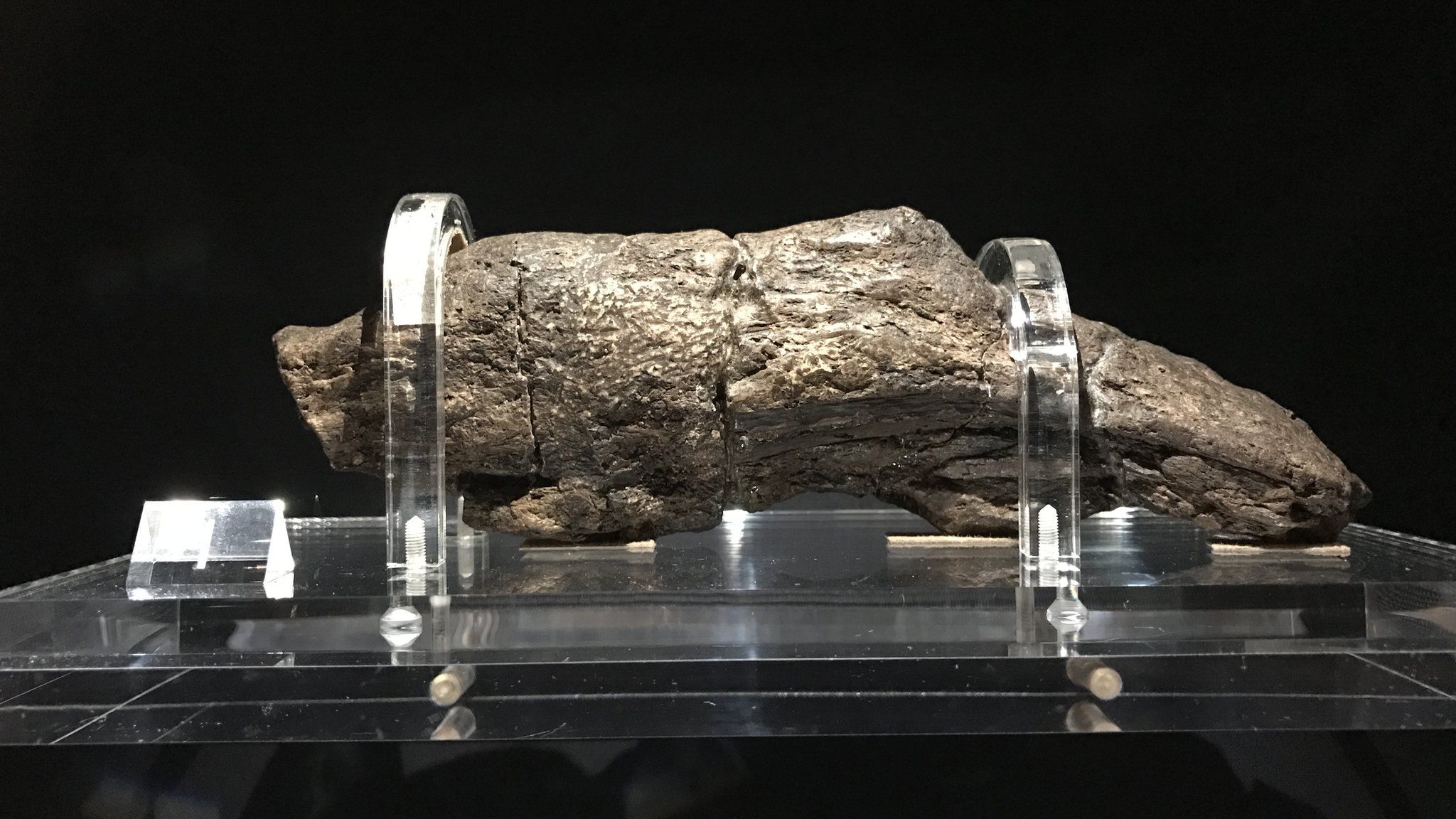 In pictures Aberdeen Art Gallery reveal Viking hoard in new exhibition