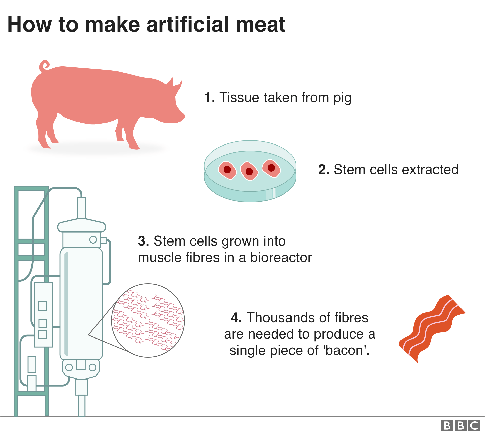 Graphic: How to make artificial meat