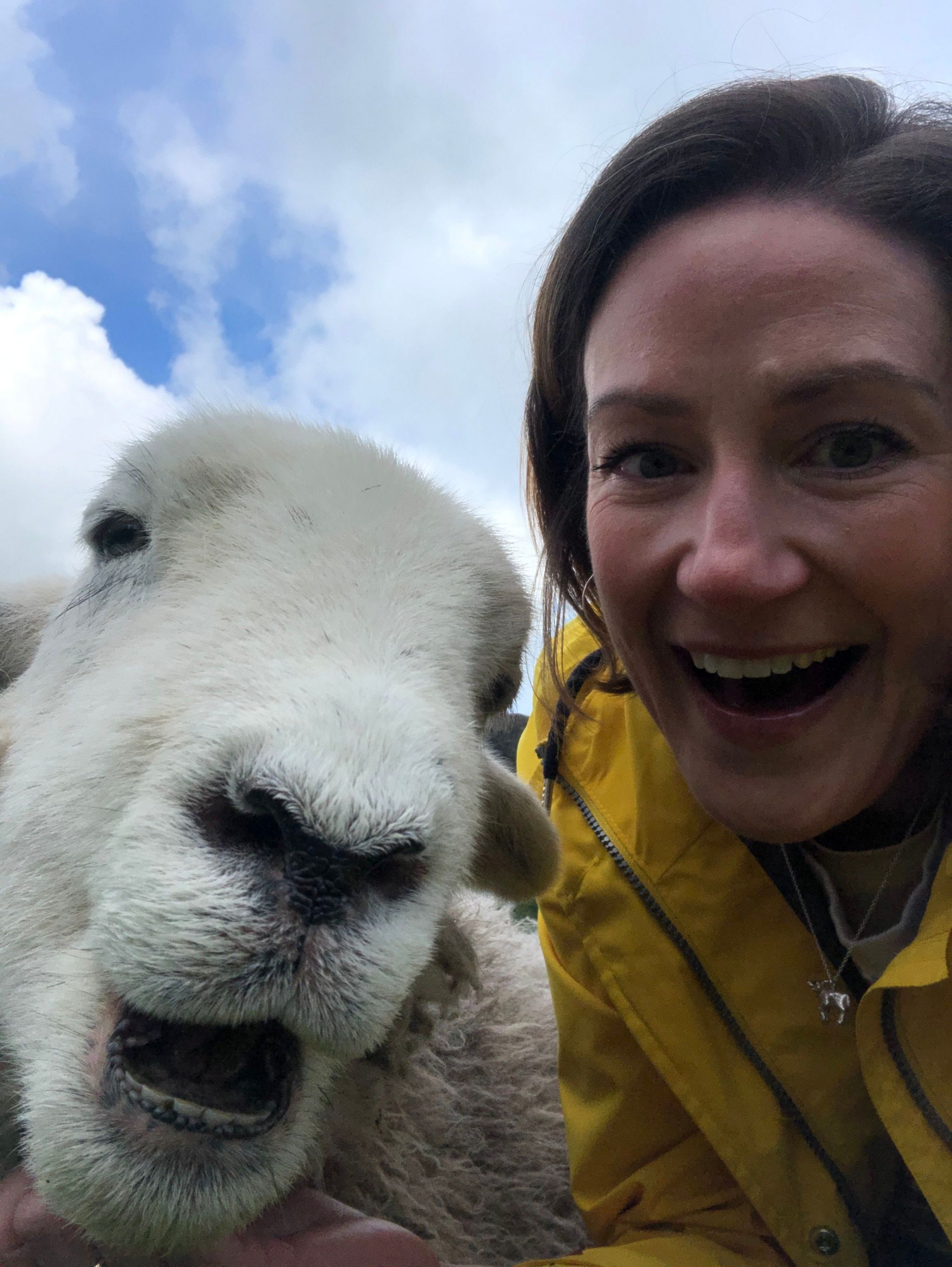 A woman, wearing a yellow rain jacket, smiles into the camera as she poses alongside a sheep, which also appears to be smiling open-mouthed and looking at the camera