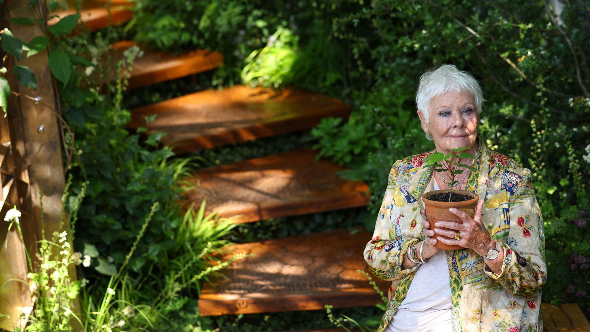 Dame Judi Dench with the seedling