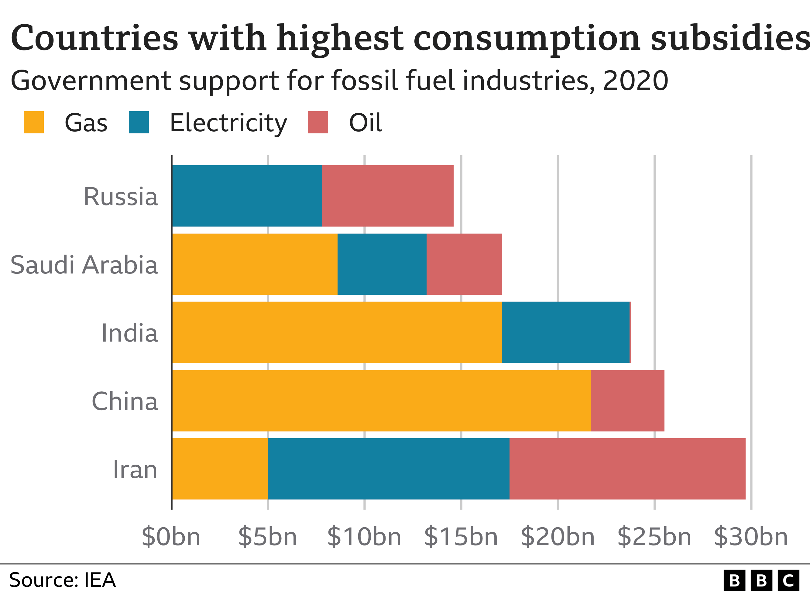 A graphic showing the countries with the highest government support for fossil fuels. The graphic shows Iran receiving government subsidies of almost $30 billion in government support for gas, electricity and oil. China is second highest with more than $25 billion, followed by India (over $20bn), Saudi Arabia (more than $16bn) and Russia (almost $15bn).