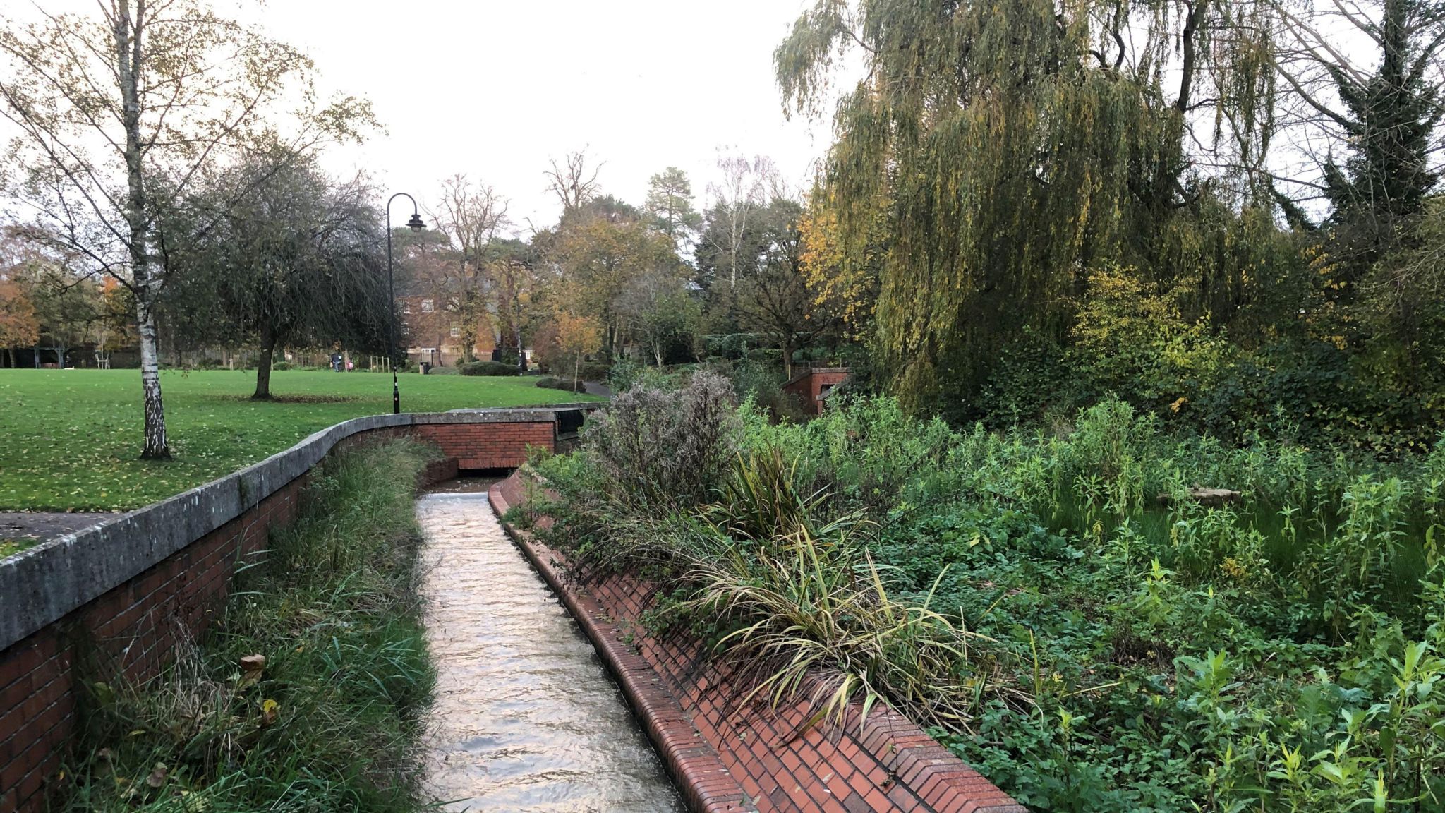 A stream runs through a grassy park area on the left and vegetation on the right