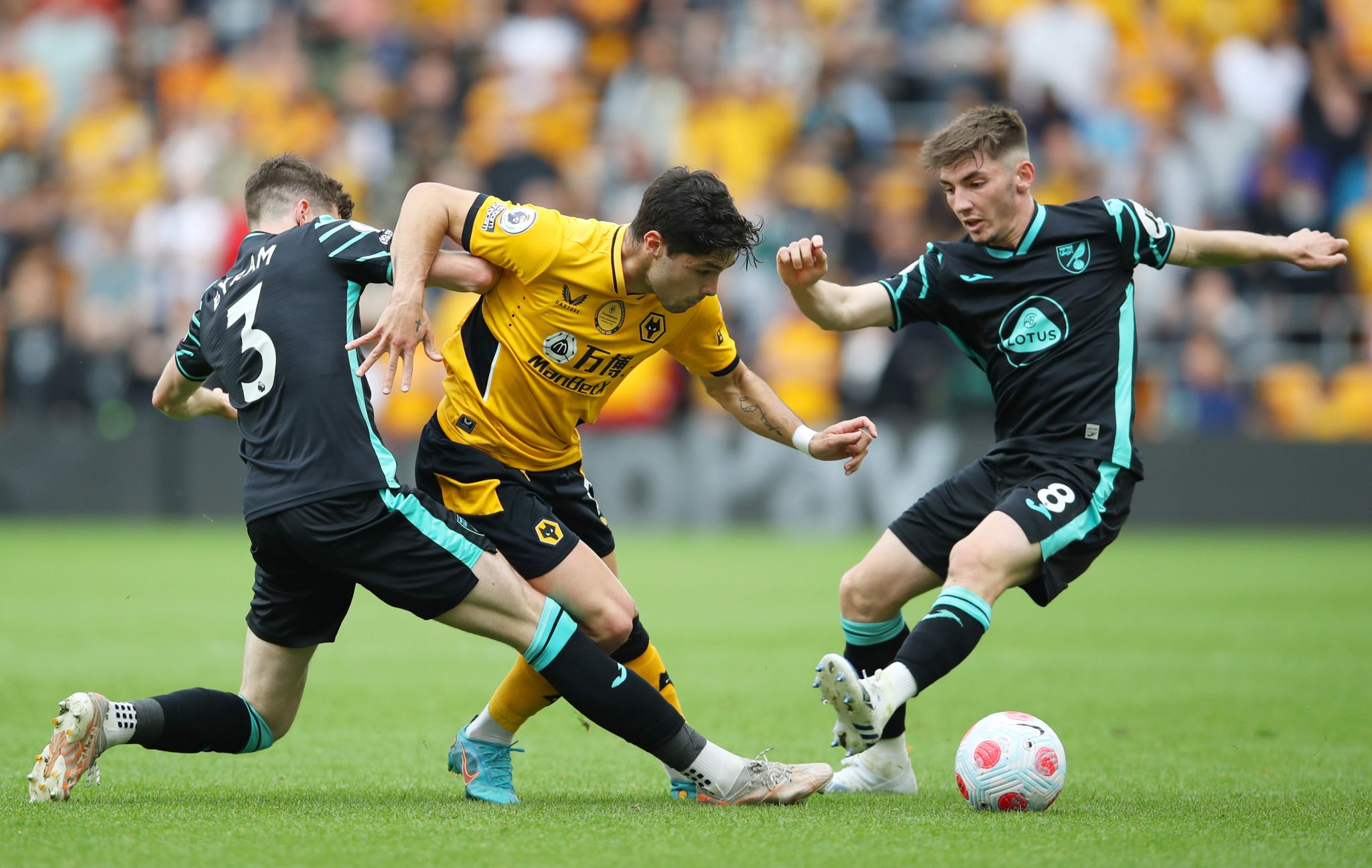 Wolves 1-1 Norwich: Pick of the stats - BBC Sport