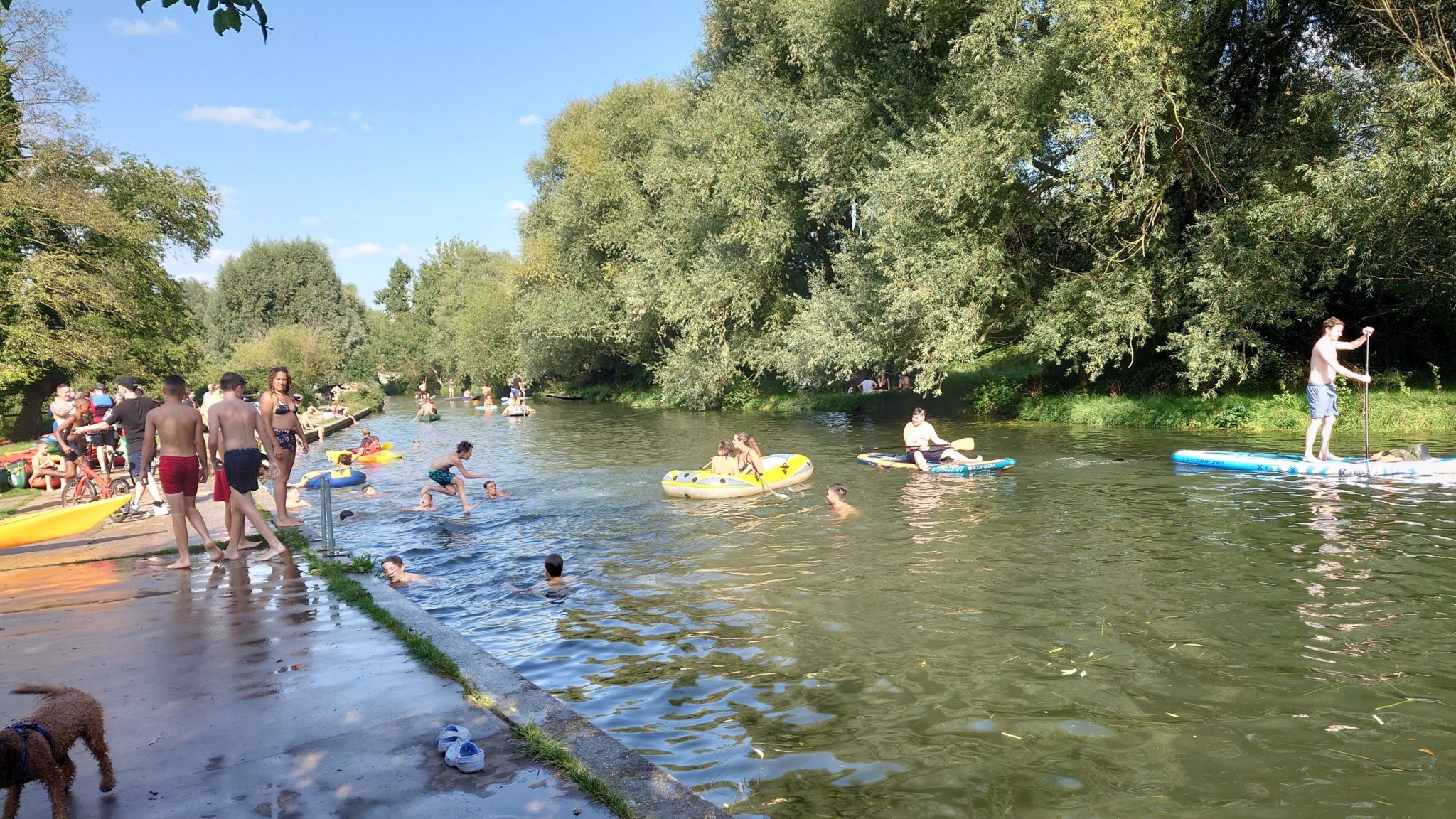 People swimming and paddle-boarding in the River Cam in 2022