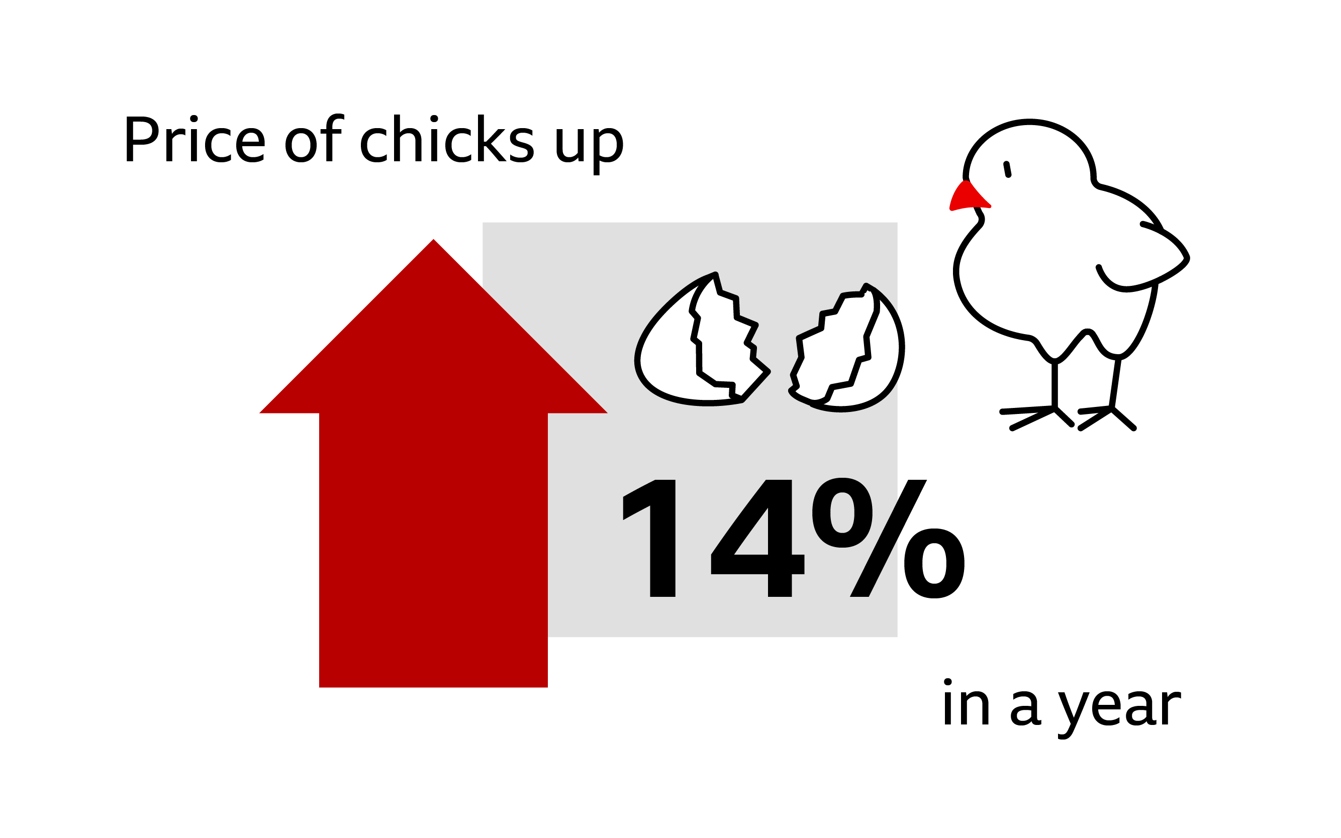 Key stat: Price of chicks up 14% in a year