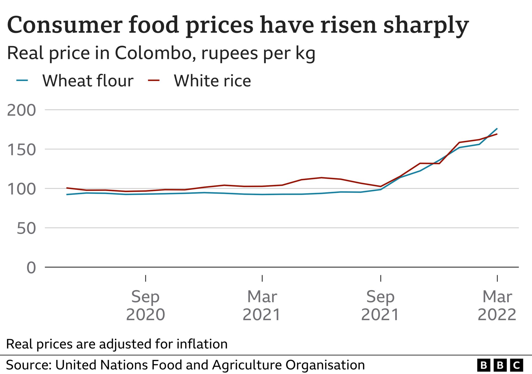 Line chart showing rising prices of wheat flour and white rice in Colombo