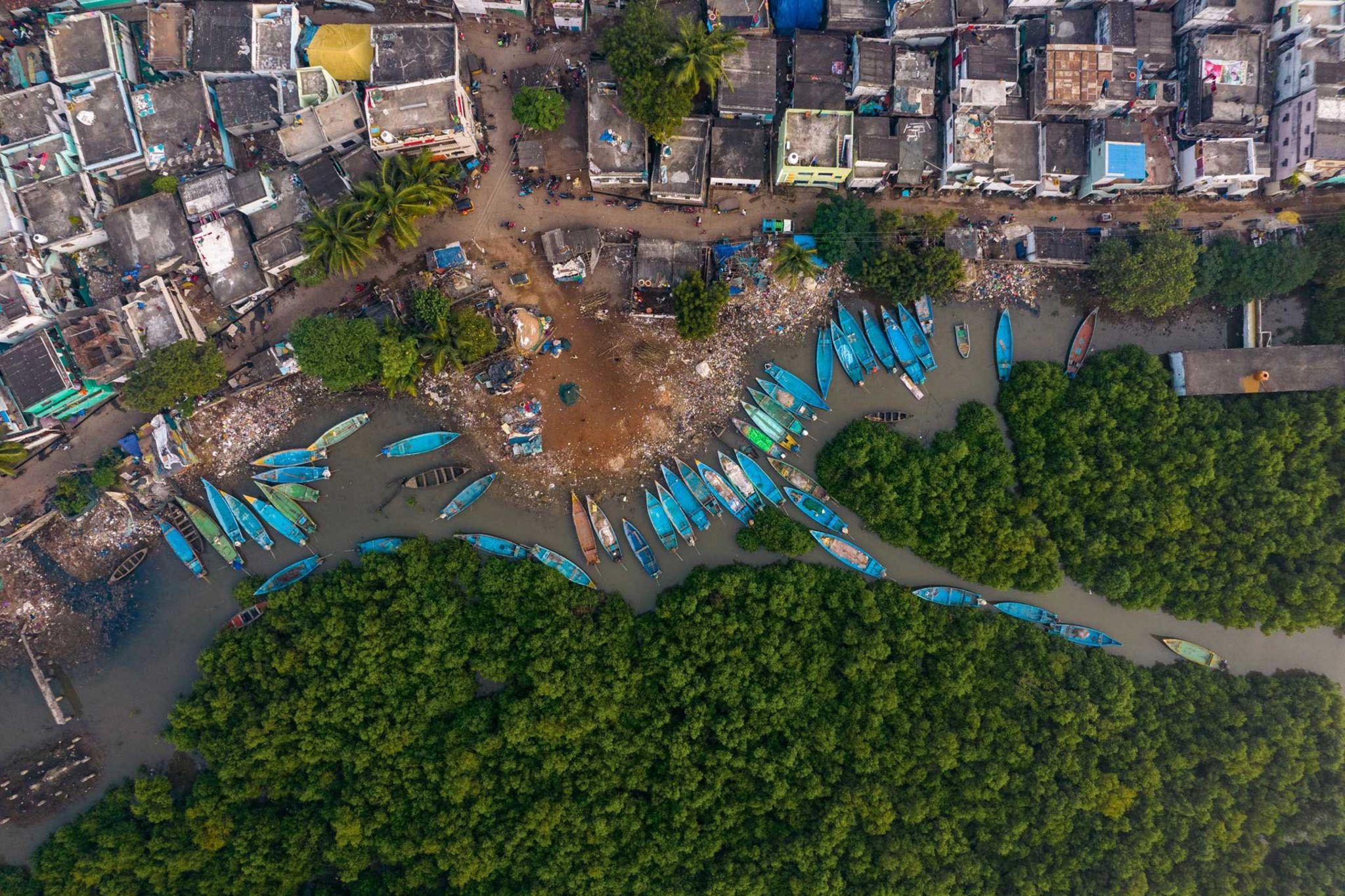 Drone image of coast and mangrove