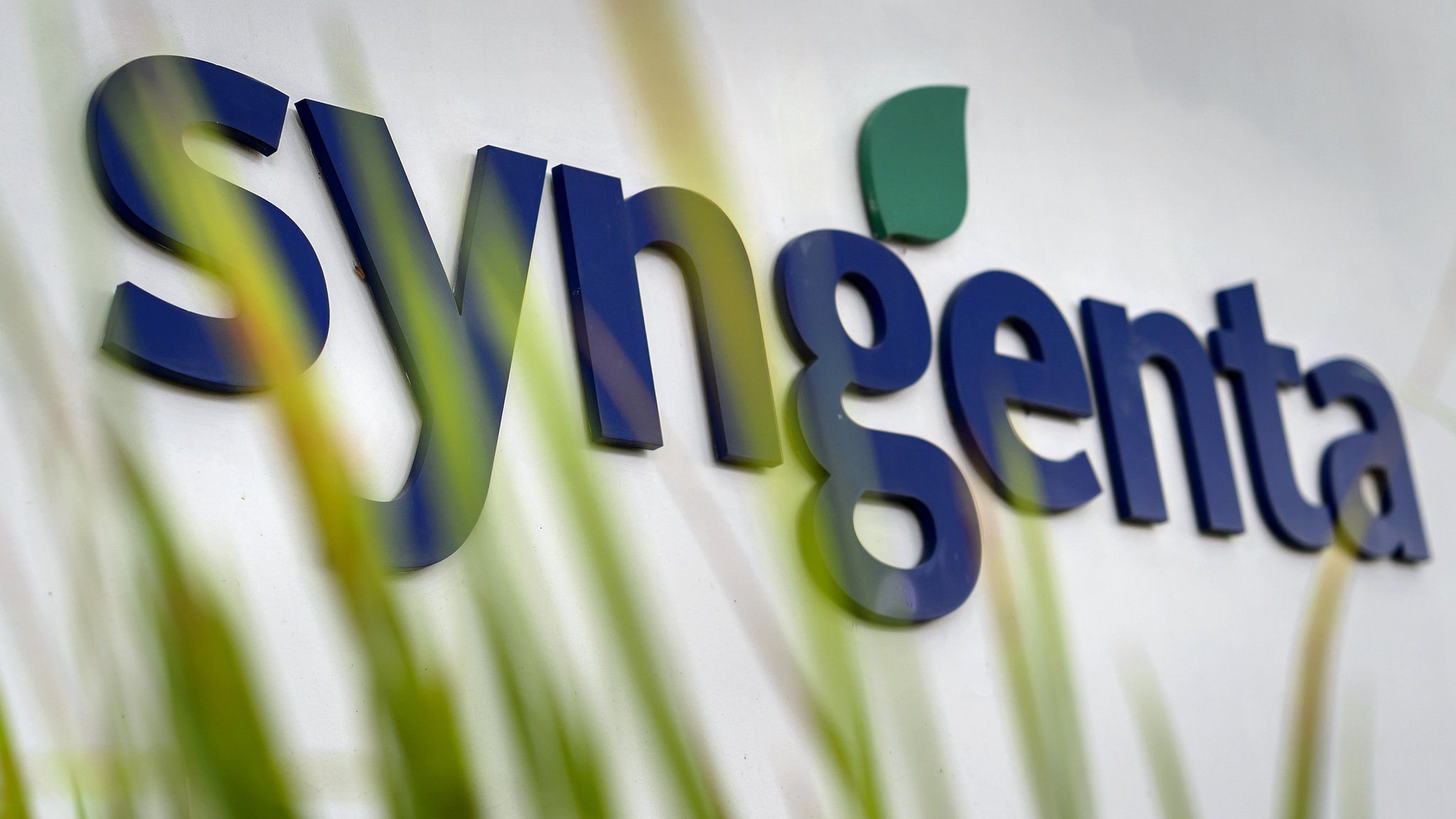Swiss pesticide-and-seeds-maker Syngenta