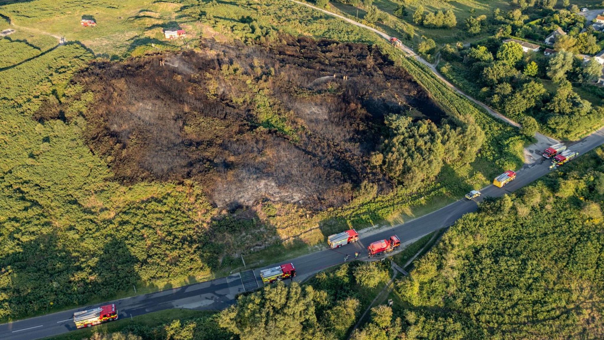 Aerial view of a burnt area of heathland surrounded by fire service vehicles