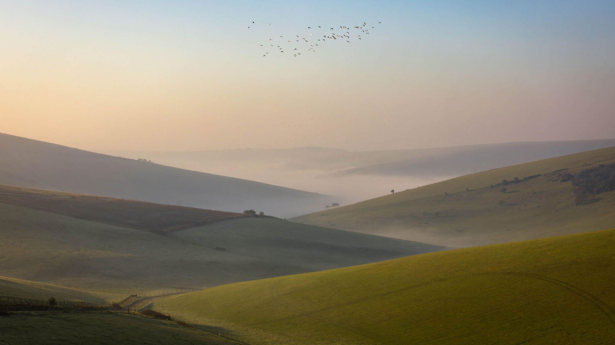 "Kingston Ridge", taken by James Ratchford, which was runner up in the South Downs National Park's Annual Photo Competition. Image shows a number of birds flying over hills near Lewes, East Sussex