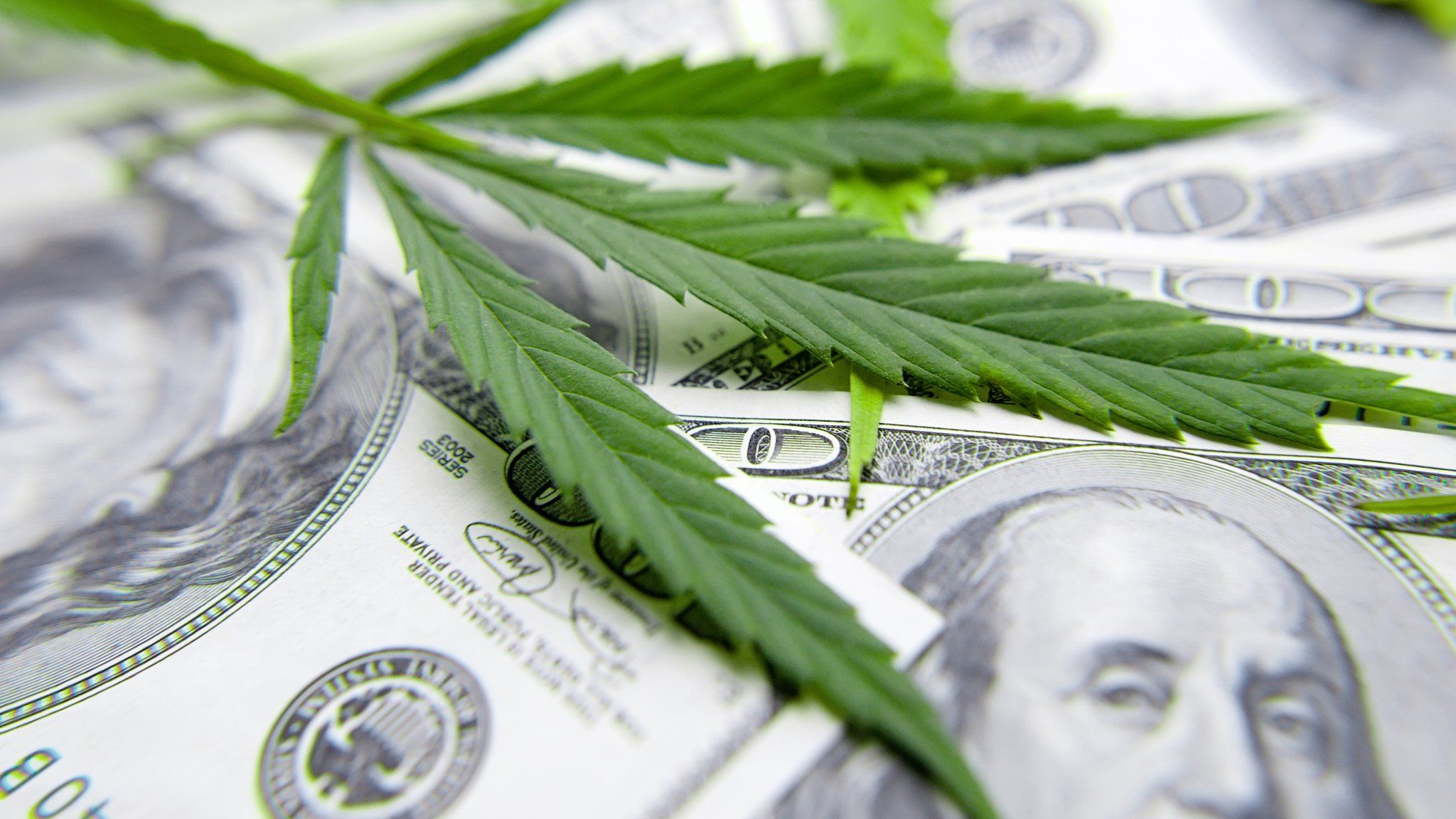 Cannabis leaf and a dollar bill