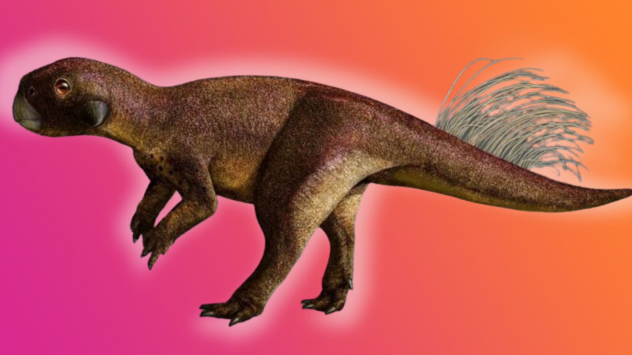 psittacosaurus.