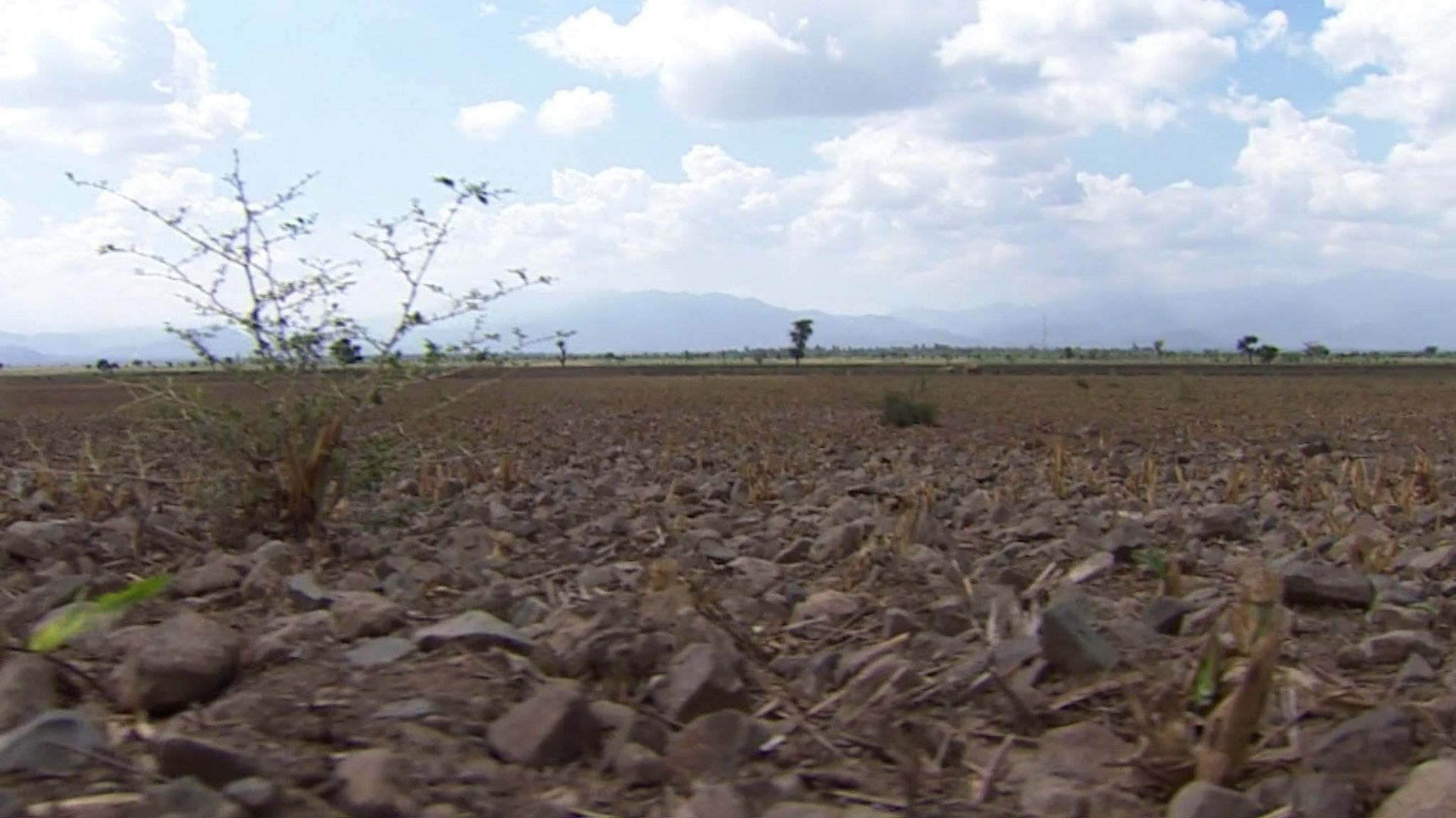 Dry land in Ethiopia