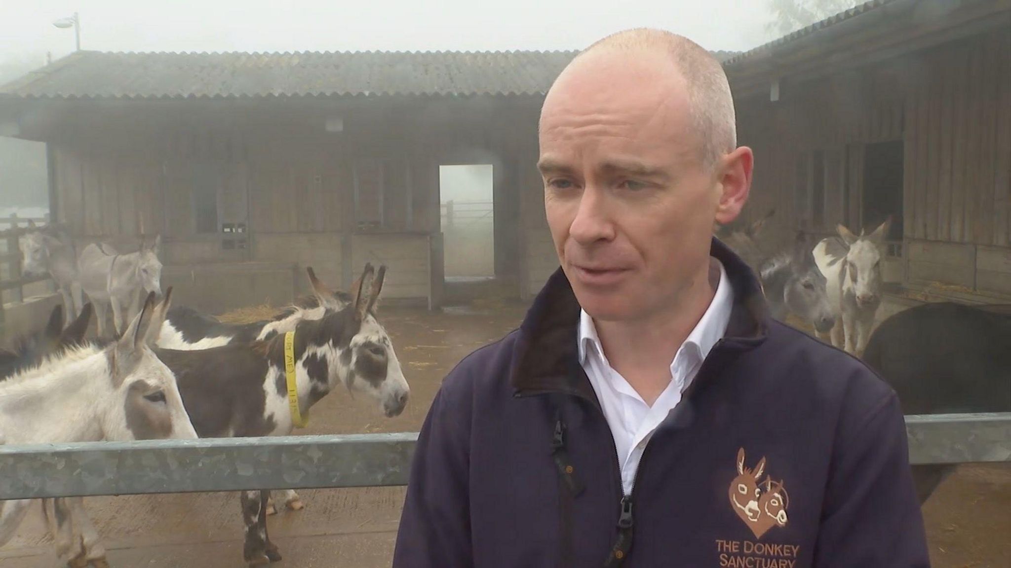 Ben Winnard at the Donkey Sanctuary, standing next to a pen containing six donkeys