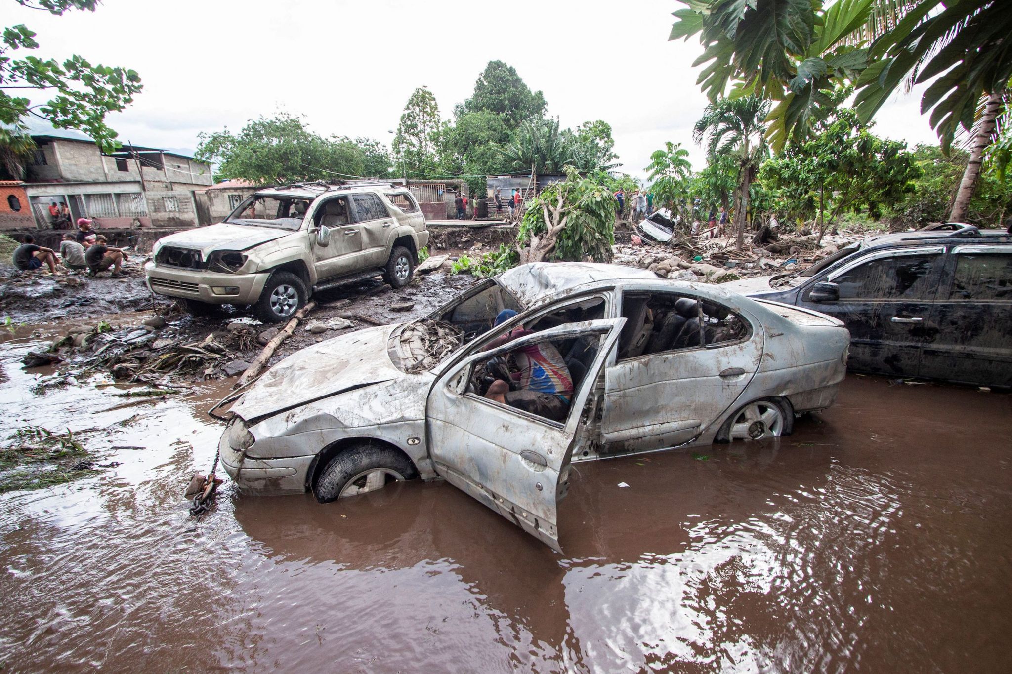 Dented and smashed cars litter the flooded streets with palm trees in the background