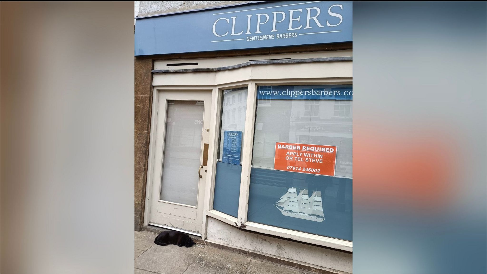 Salem lying in front of a white door to an empty shop