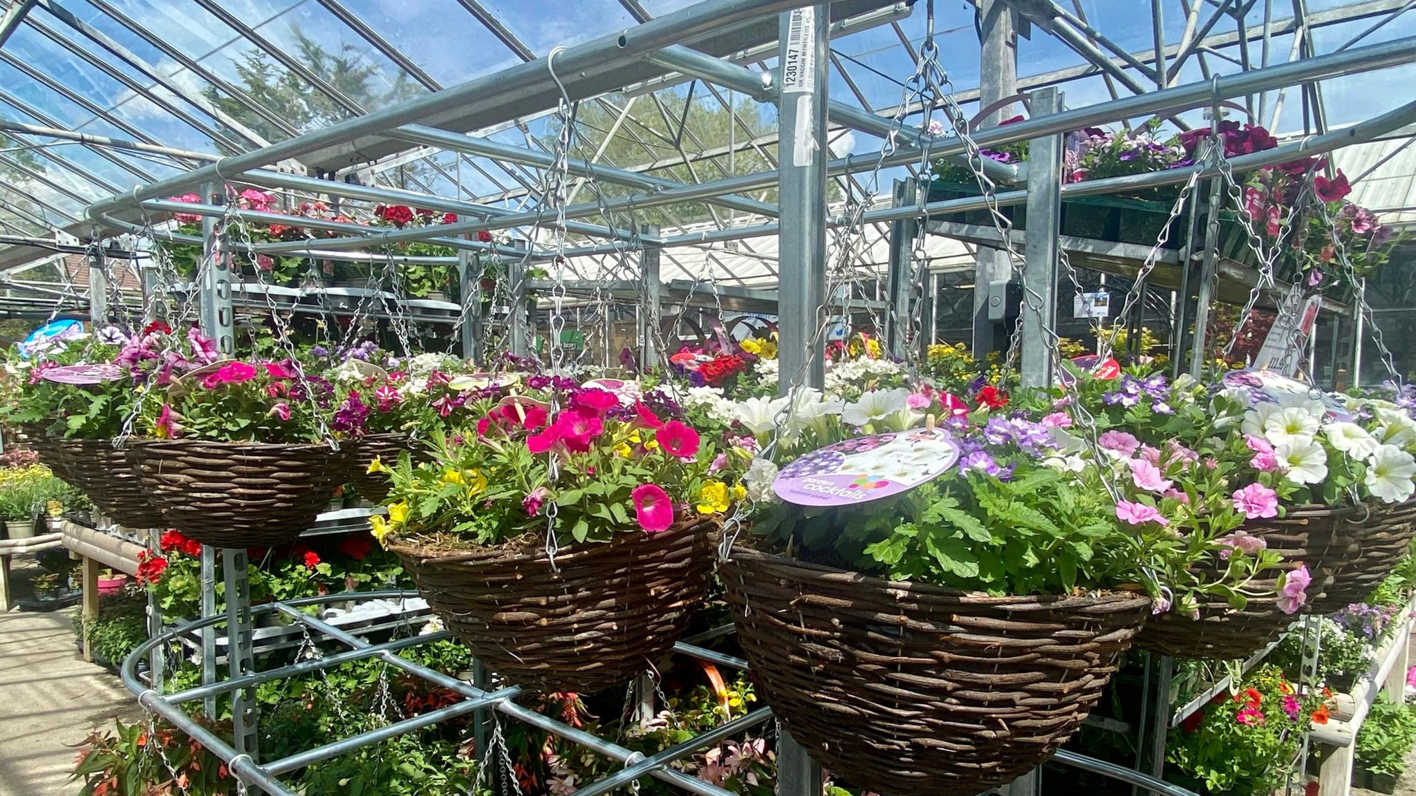 Hanging baskets filled with flowers