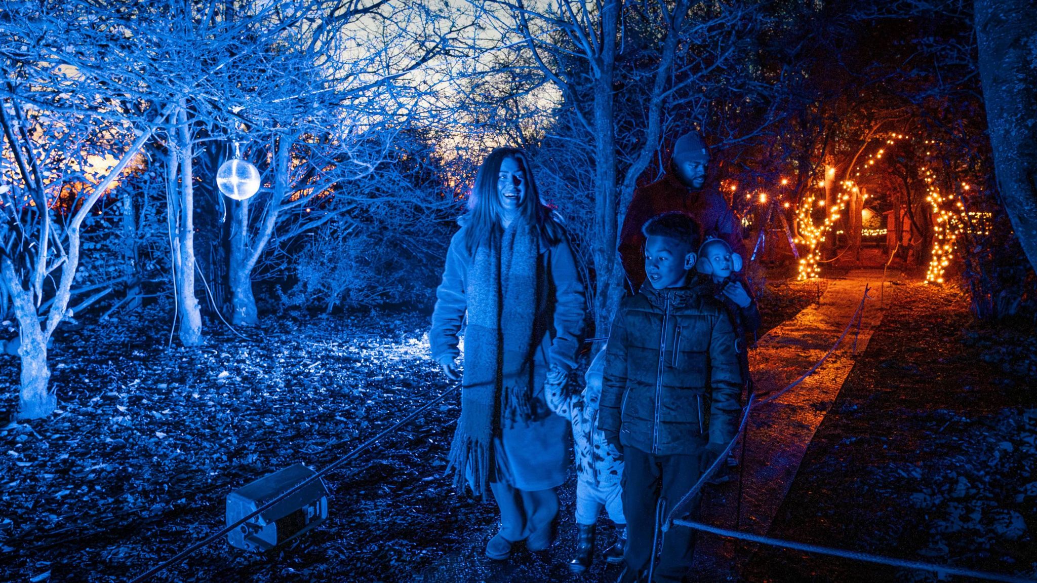 People walking through lit-up woodland