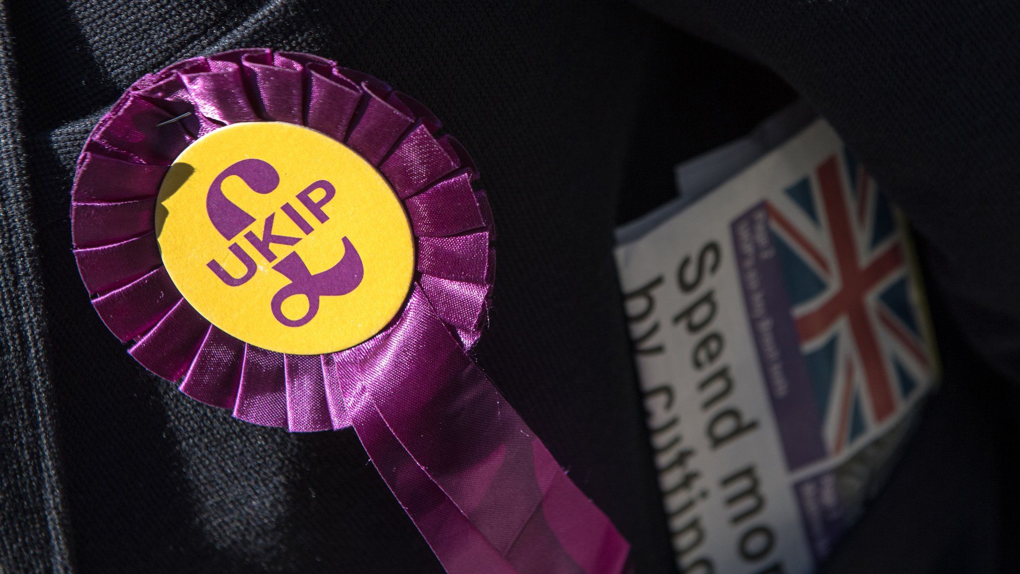 UKIP rosette